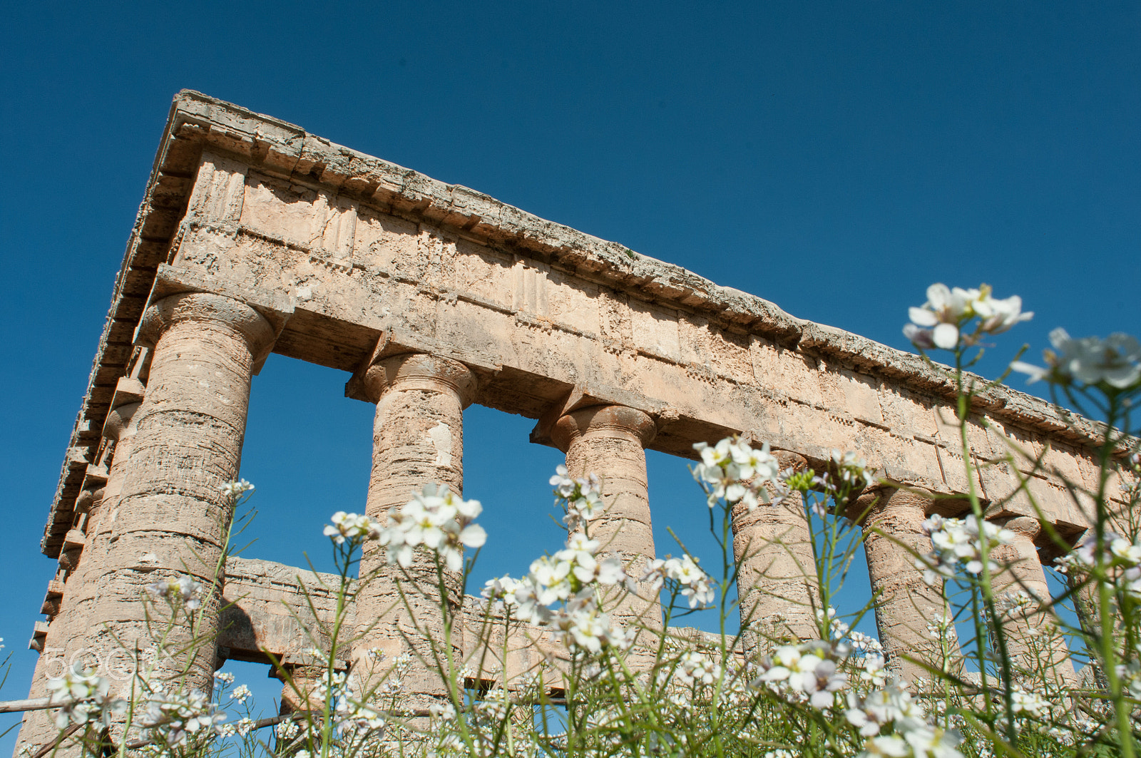 Nikon AF Nikkor 20mm F2.8D sample photo. Segesta temple photography