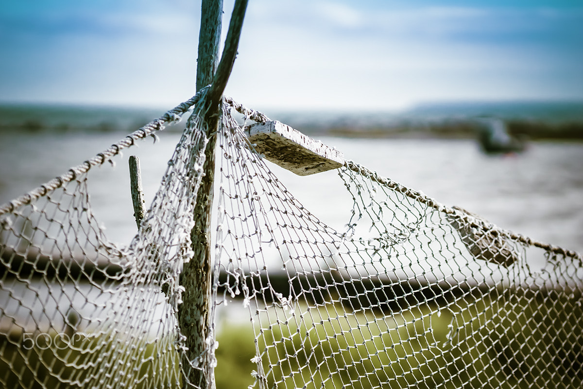 Sony ILCA-77M2 + 90mm F2.8 Macro SSM sample photo. The fishing net photography