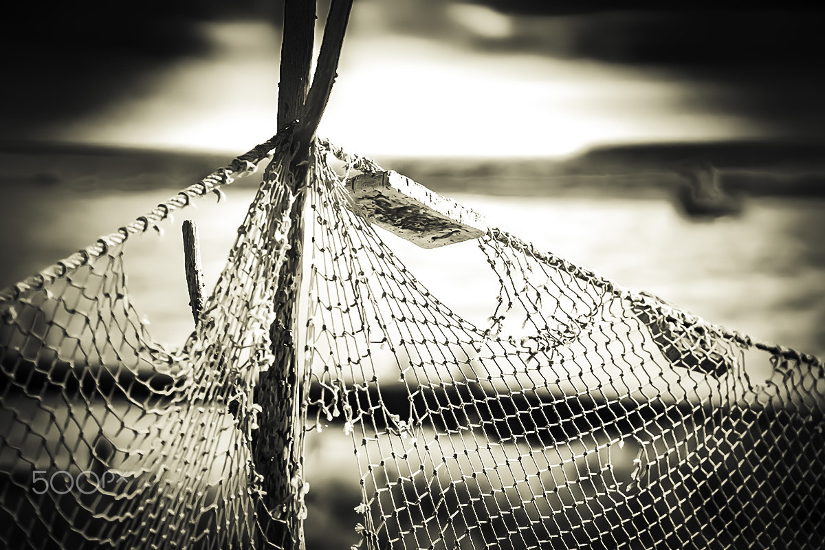 Sony ILCA-77M2 + 90mm F2.8 Macro SSM sample photo. The fishing net photography