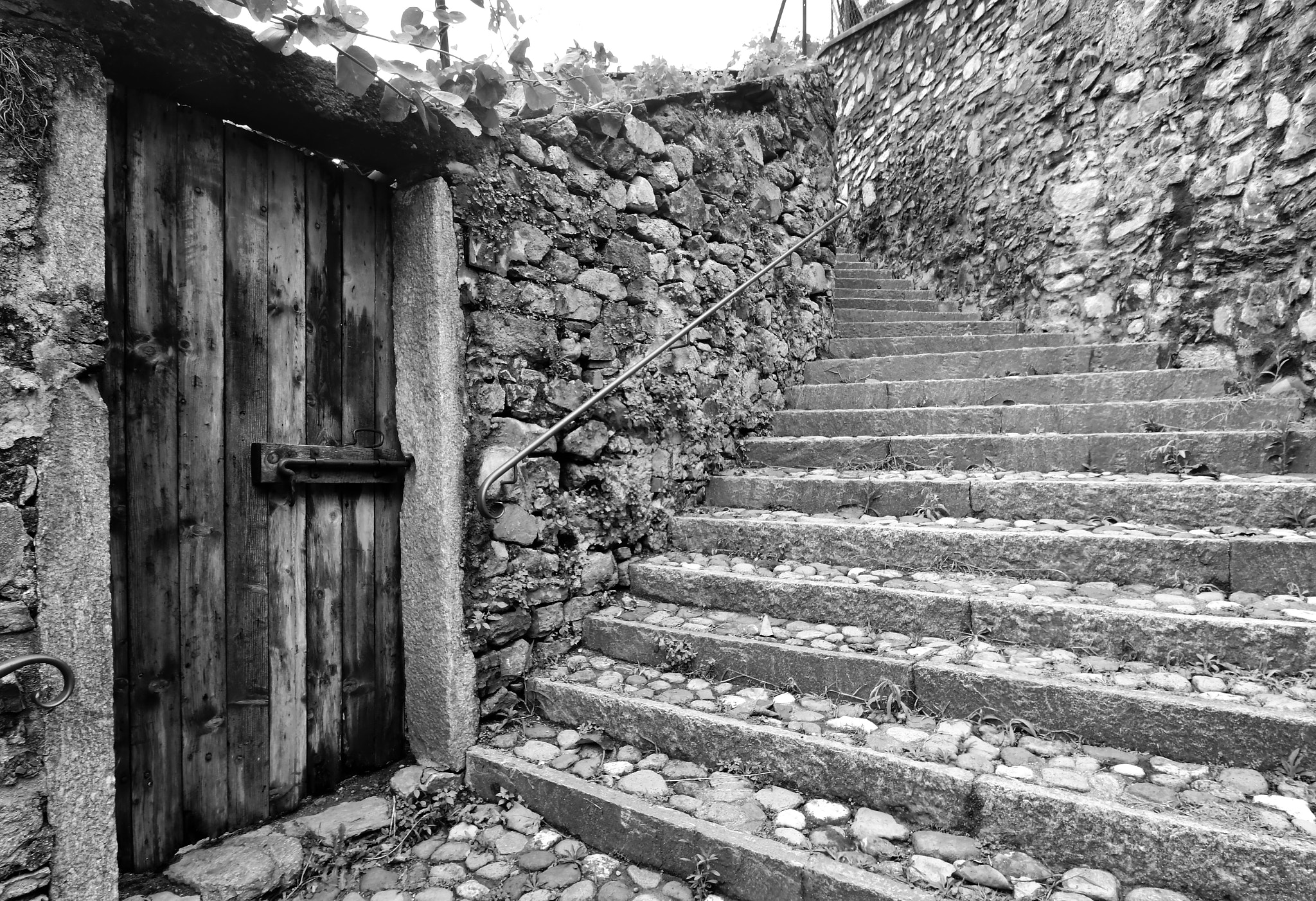 Nikon D500 sample photo. Porte en bois photography