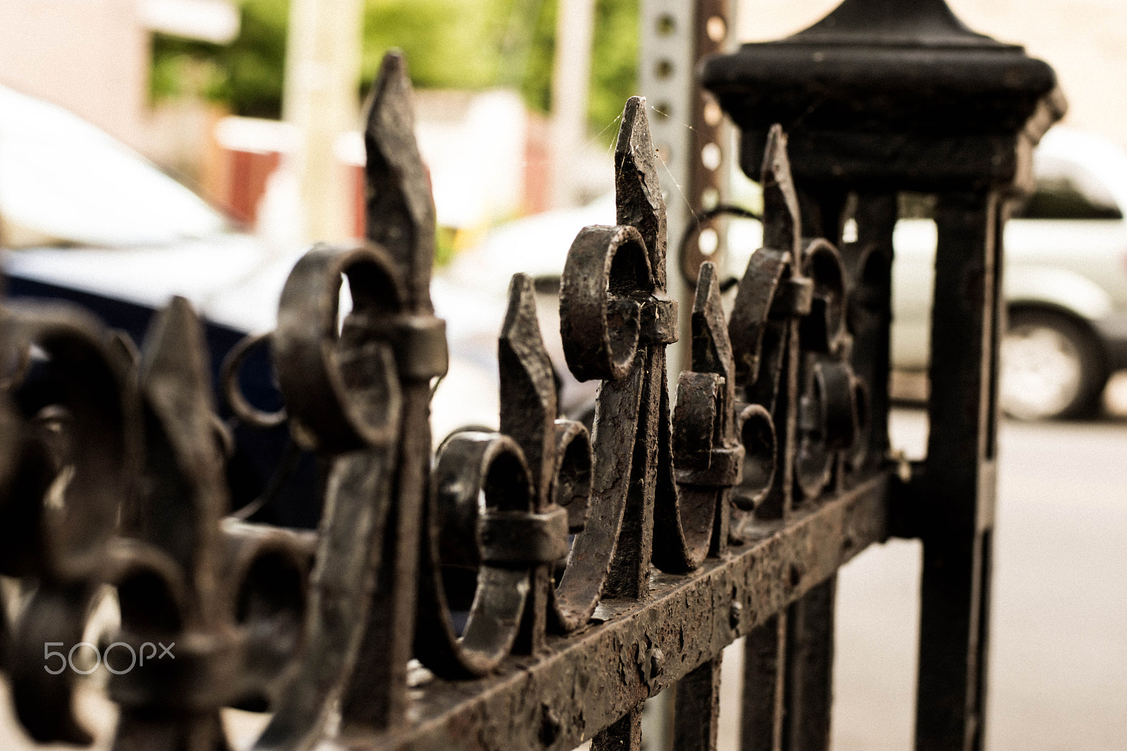 Nikon D7200 + Nikon AF Nikkor 50mm F1.4D sample photo. Spiderweb photography