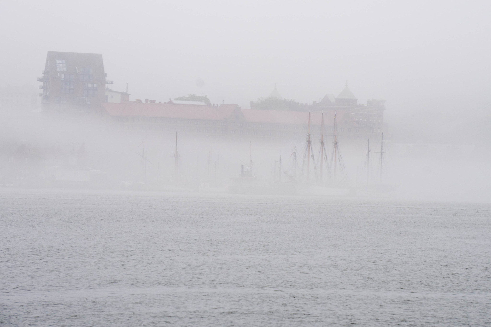Sony E 55-210mm F4.5-6.3 OSS sample photo. In the fog photography