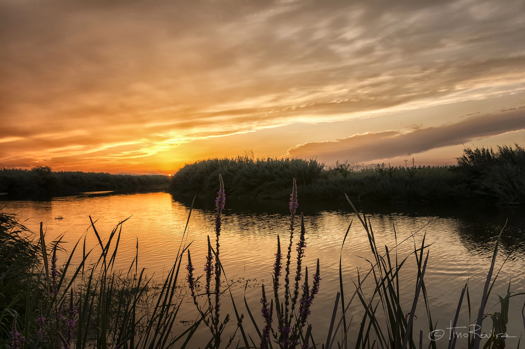 Tokina AT-X Pro 12-24mm F4 (IF) DX sample photo. Atardecer en el rio photography