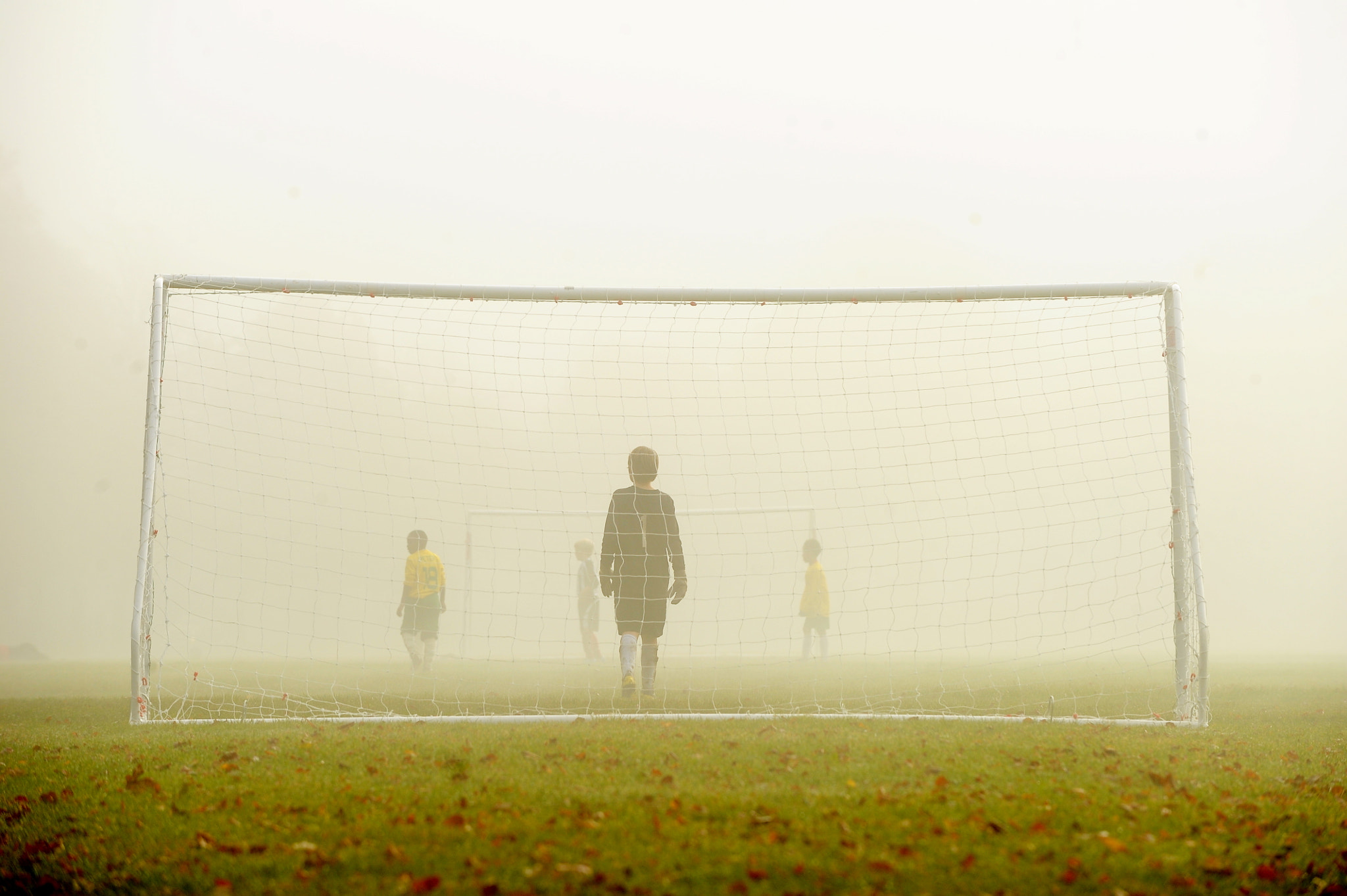 Foggy Football