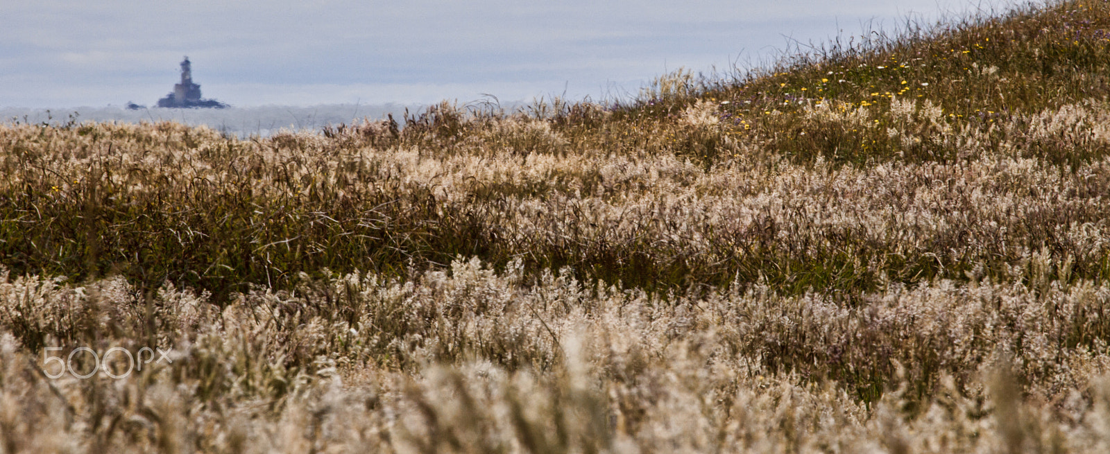 Canon EOS 5D Mark II + Canon EF 100-400mm F4.5-5.6L IS USM sample photo. St. john's lighthouse photography