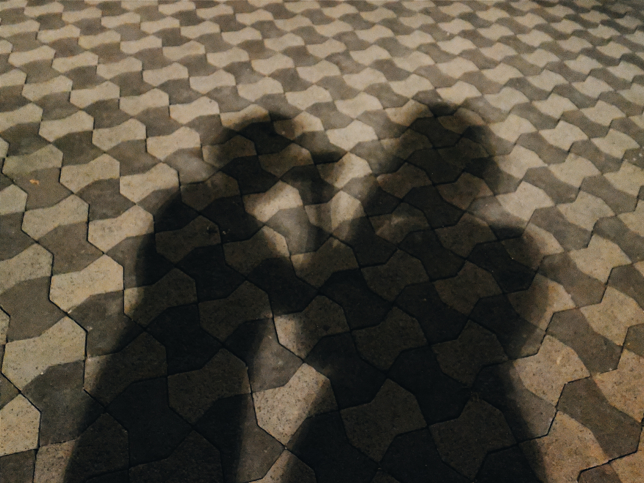 Benq G1 sample photo. Shadows photography