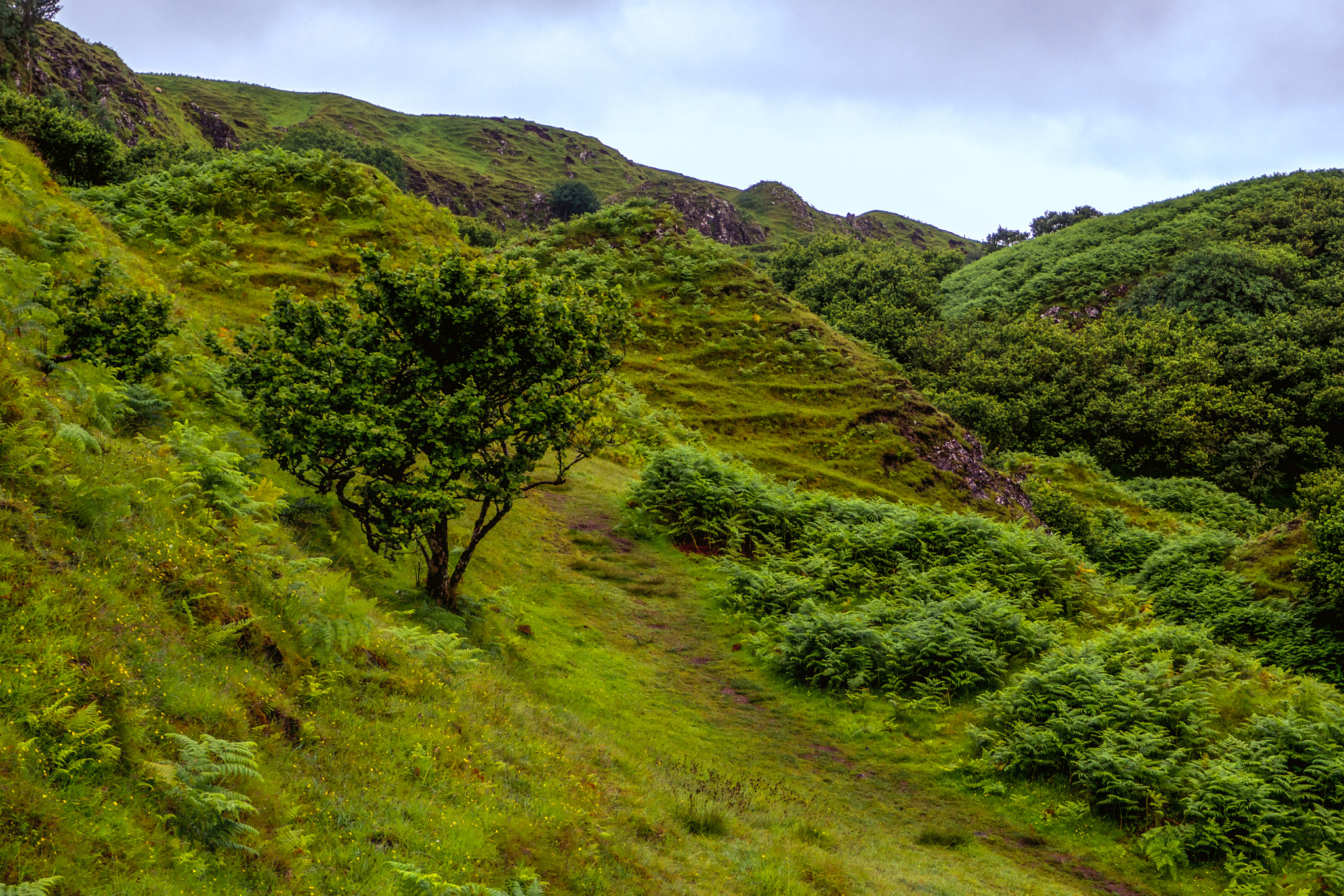 Olympus OM-D E-M10 + OLYMPUS M.12-50mm F3.5-6.3 sample photo. Fairy glen - isle of skye photography