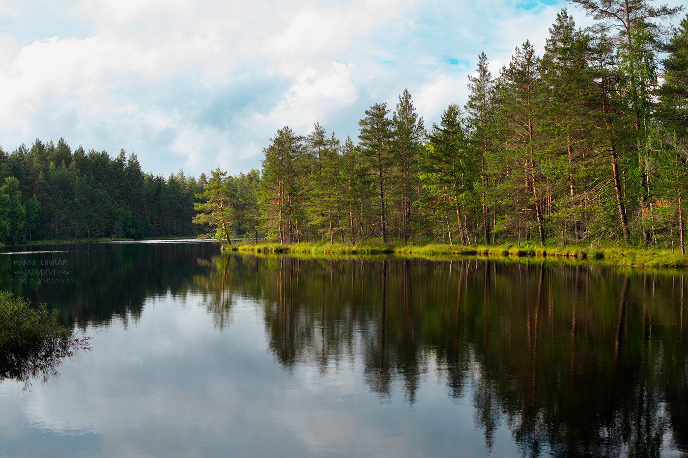 Samsung NX1000 + Samsung NX 30mm F2 Pancake sample photo. Forest lake photography