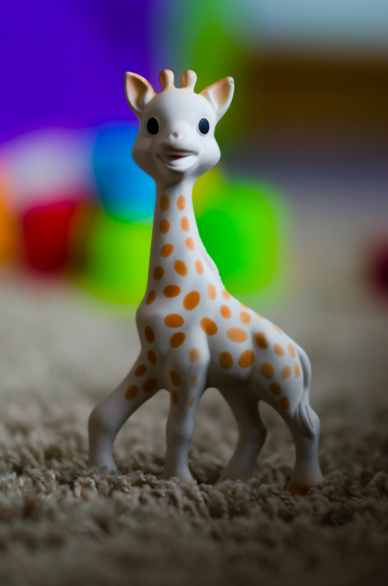 Nikon D7000 + Nikon AF Nikkor 105mm F2D DC sample photo. Sophie the giraffe photography