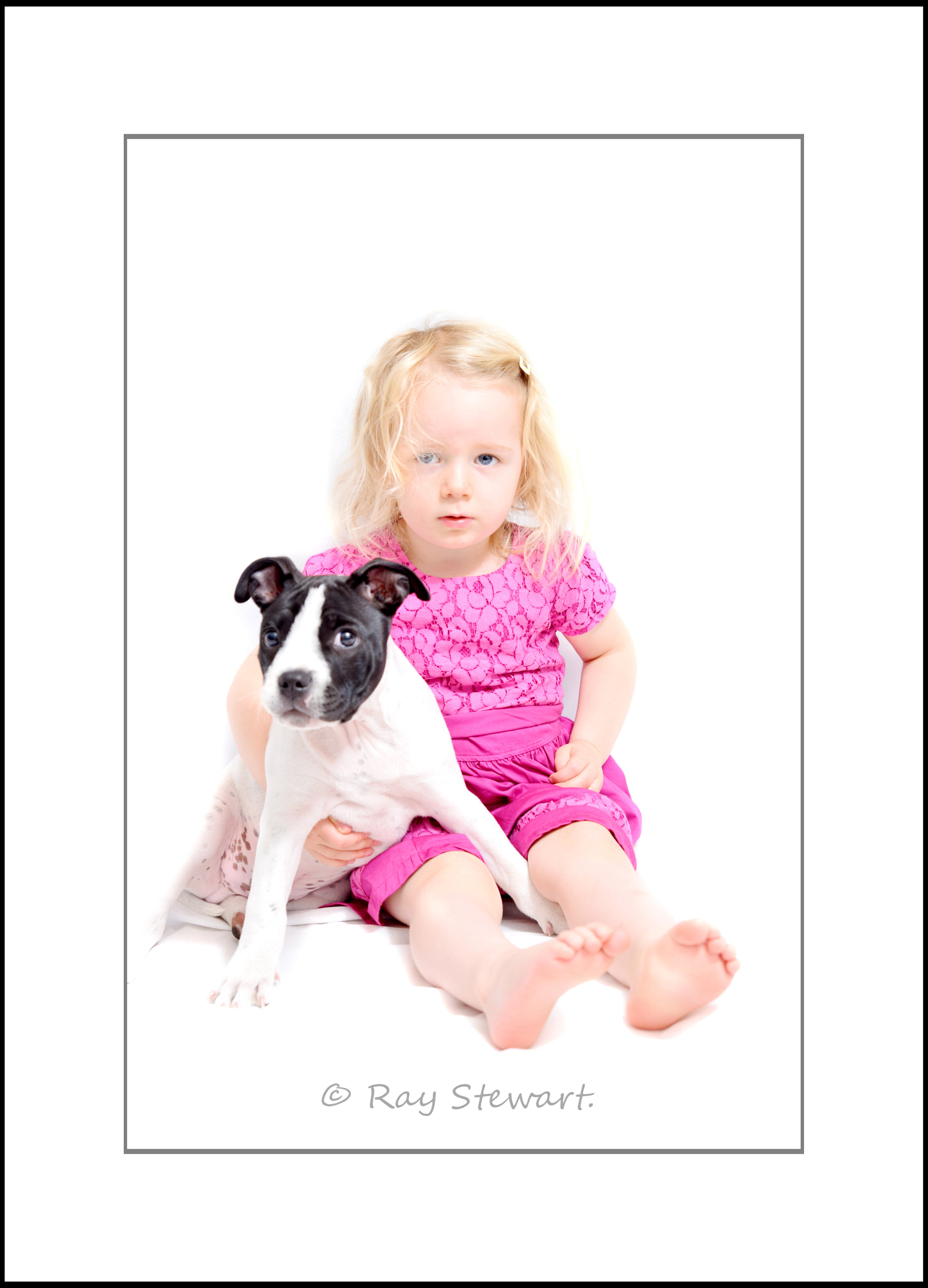 Sigma 24-70mm F2.8 EX DG HSM sample photo. Luna and edgar the puppy, photography