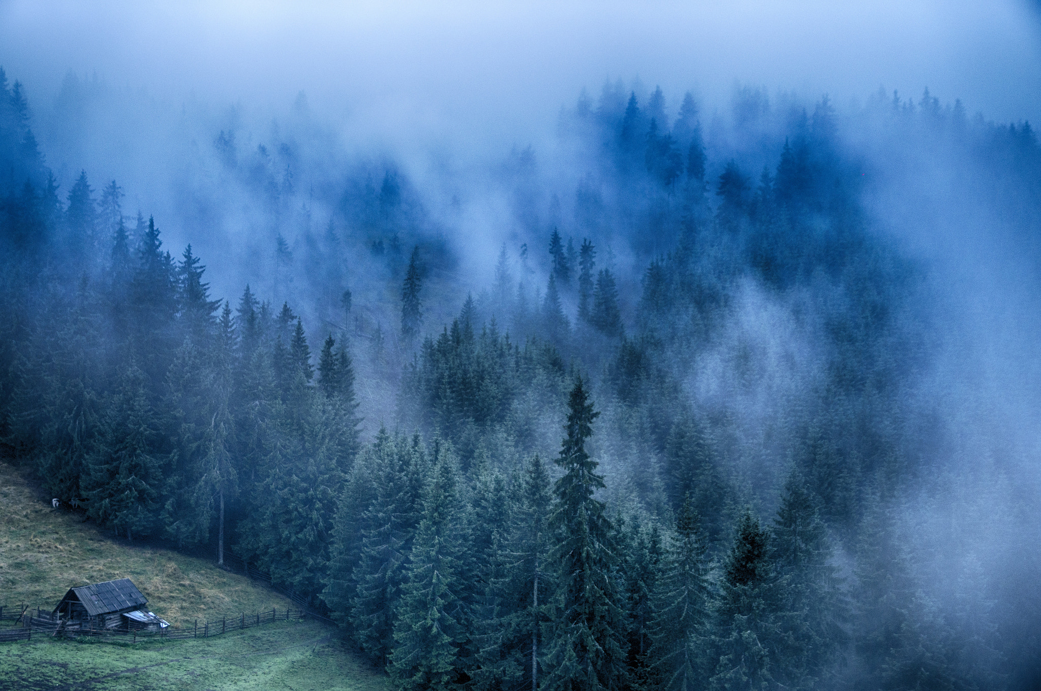 Sony SLT-A57 + Tamron SP 24-70mm F2.8 Di VC USD sample photo. My misty mornings on the mountains photography