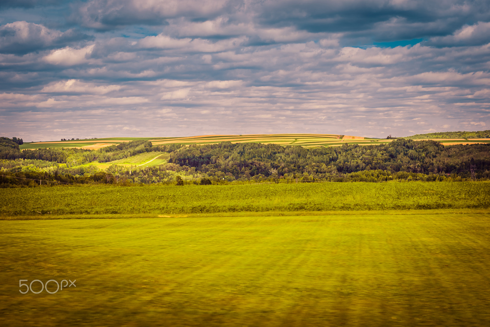 Nikon D5500 + Nikon AF-S Nikkor 50mm F1.4G sample photo. Prince edward island fields photography