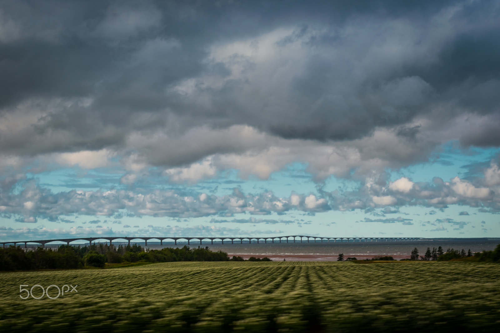 Nikon D5500 + Nikon AF-S Nikkor 50mm F1.4G sample photo. Confederation bridge in the distance photography