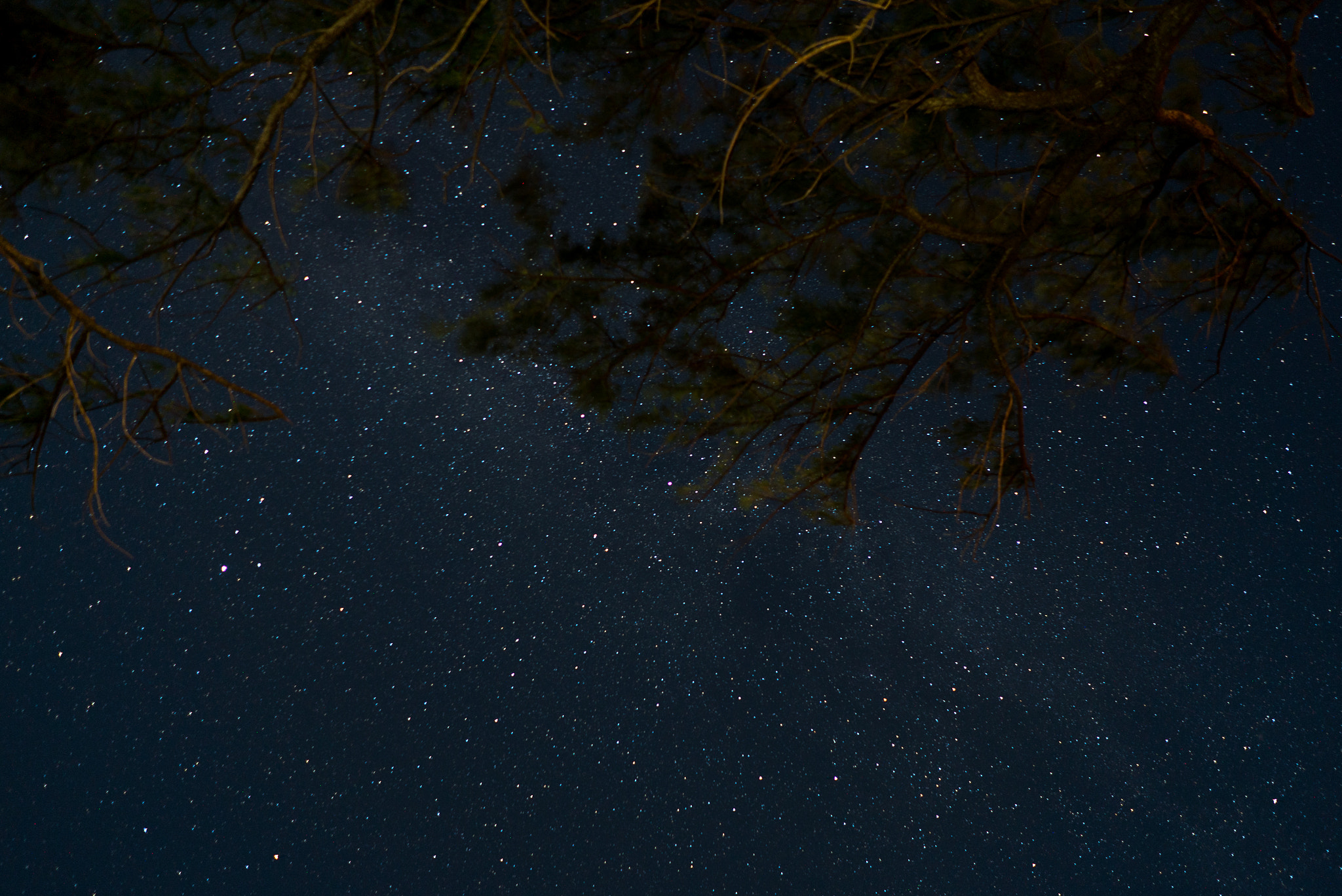 Sony FE 28mm F2 sample photo. So many stars photography