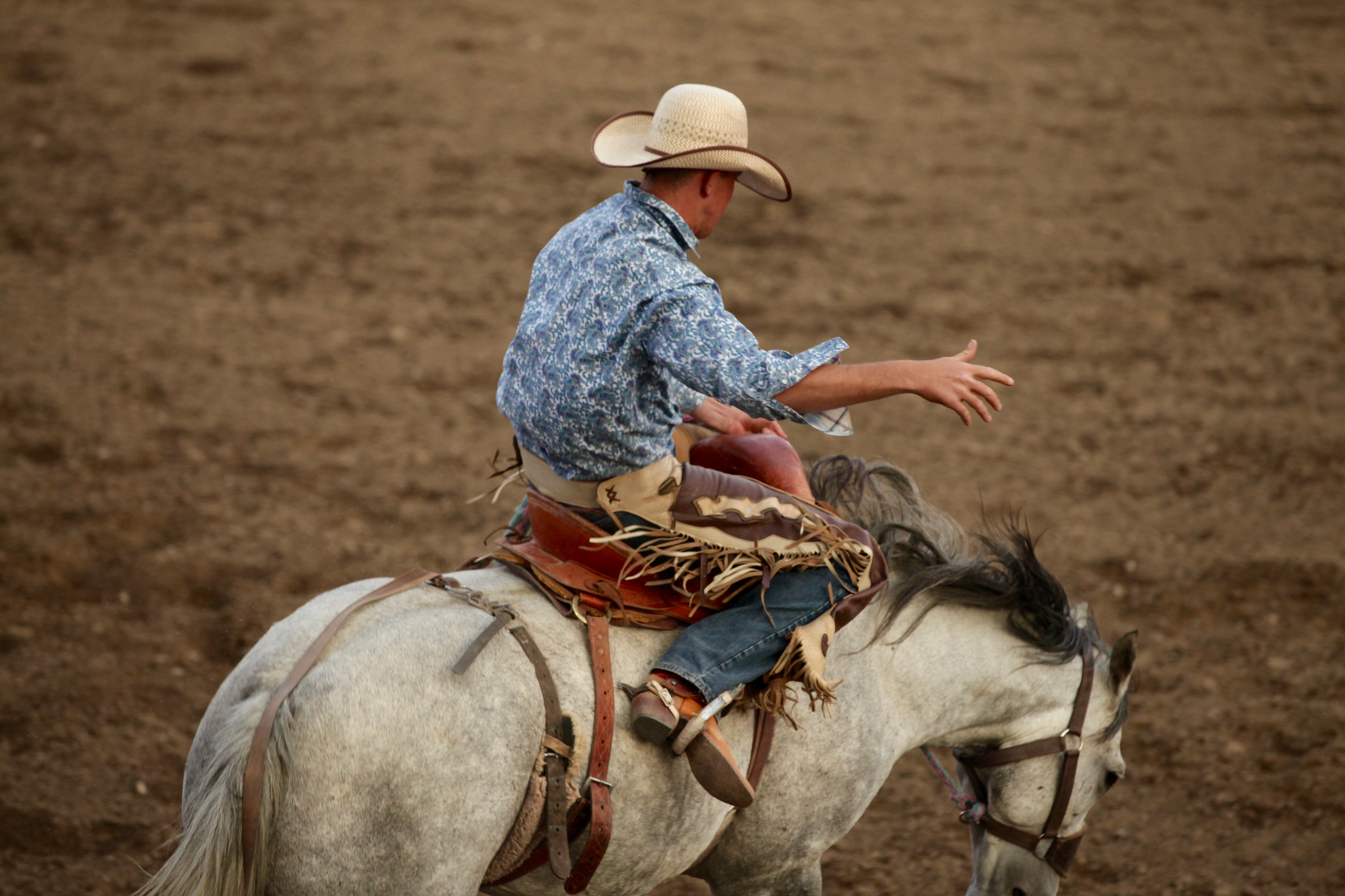 Canon EF 70-200mm F2.8L IS II USM sample photo