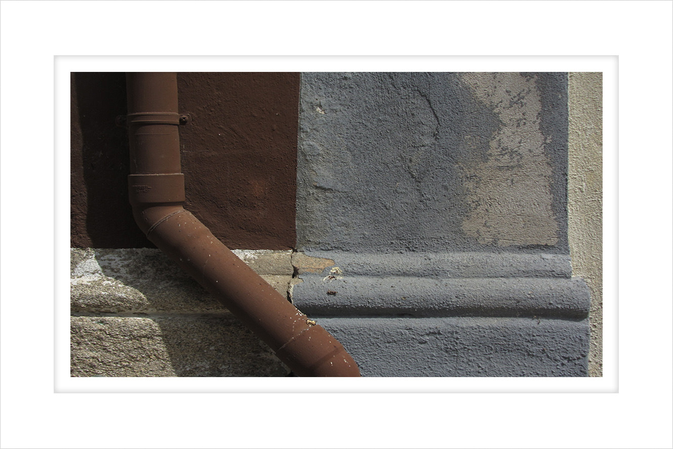 AF Zoom-Nikkor 28-80mm f/3.3-5.6G sample photo. Mc photography