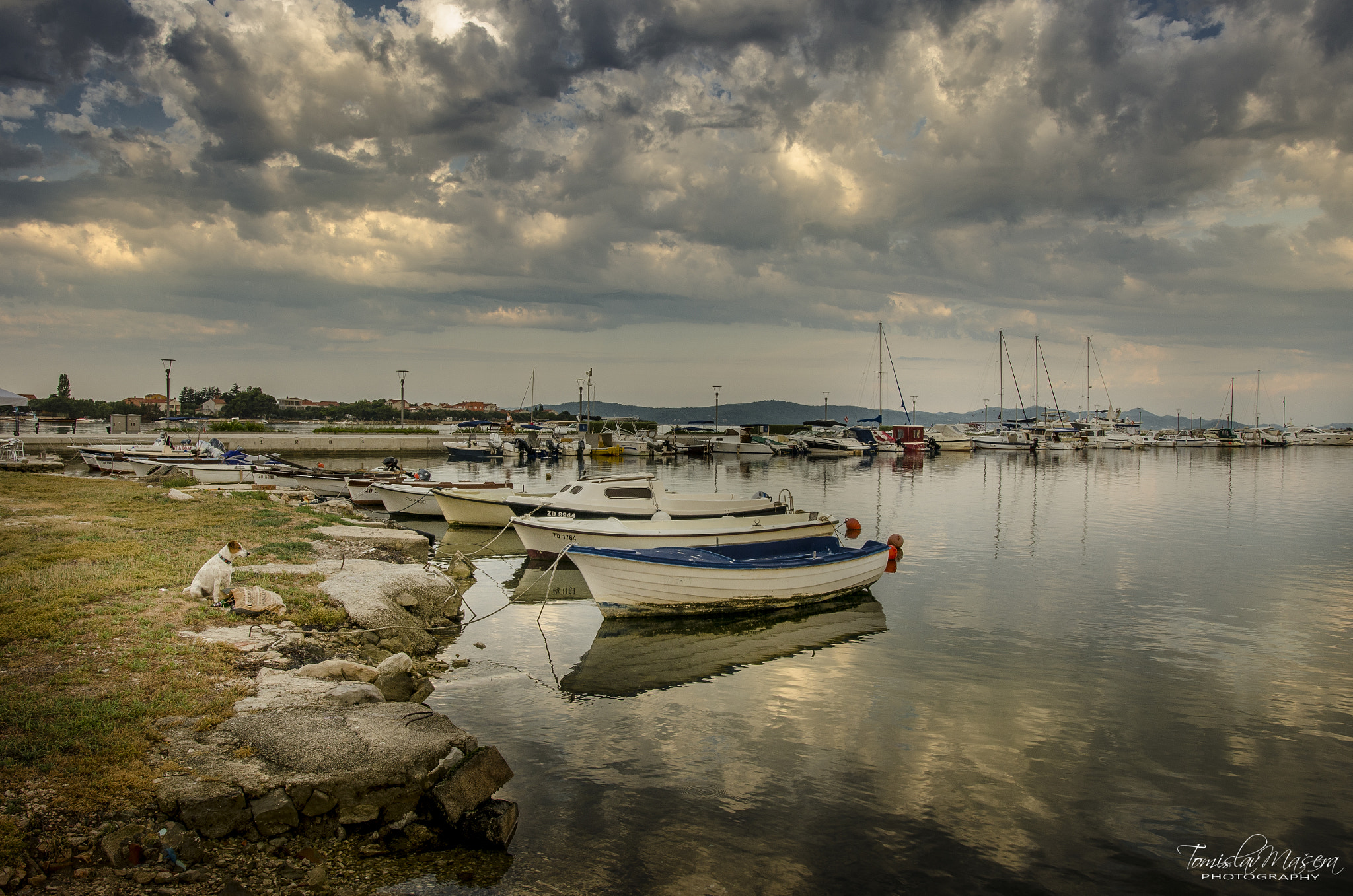 Nikon D5100 + Sigma 18-35mm F1.8 DC HSM Art sample photo. Pas i barka photography