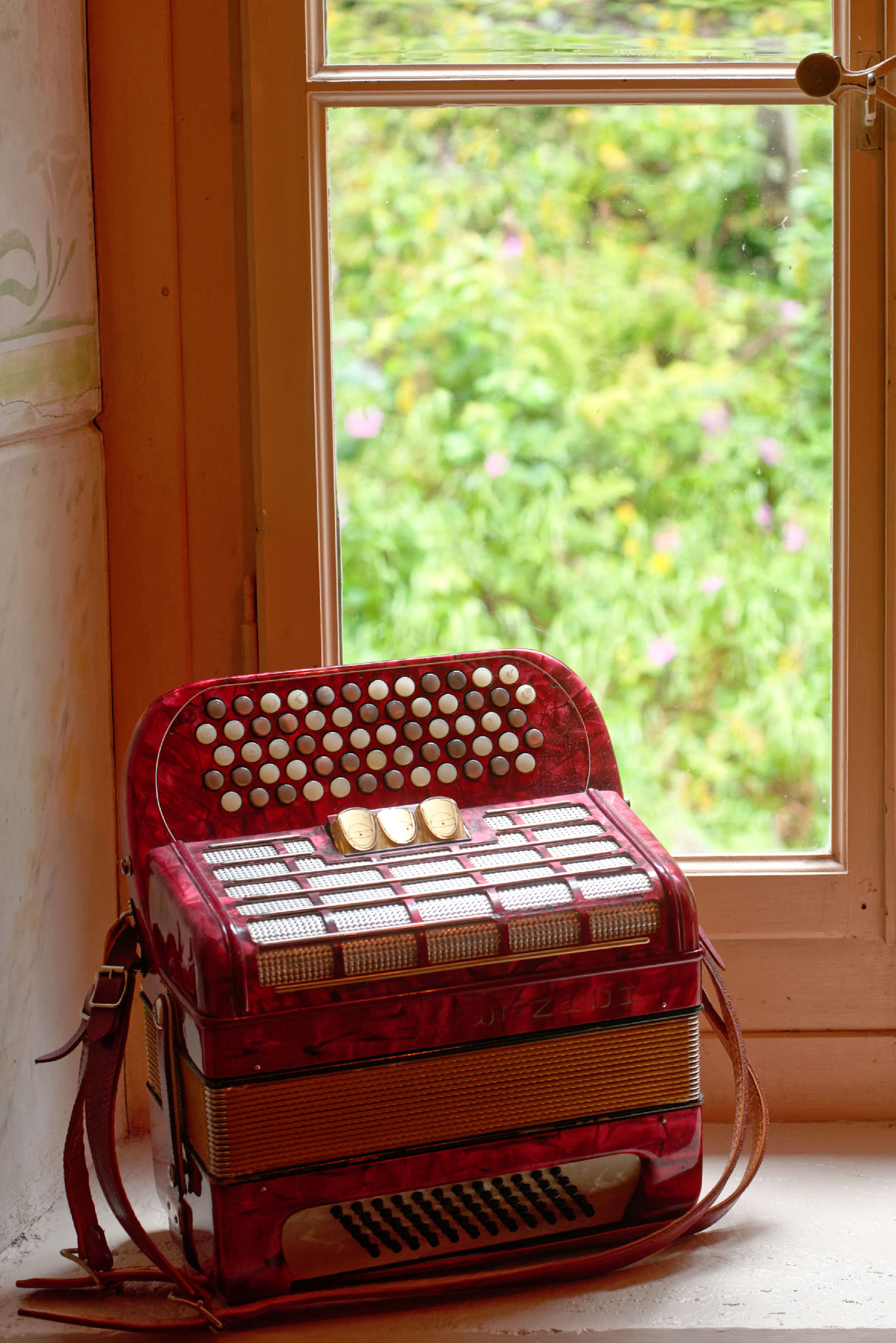 Manual Lens No CPU sample photo. Accordeon (silent) photography