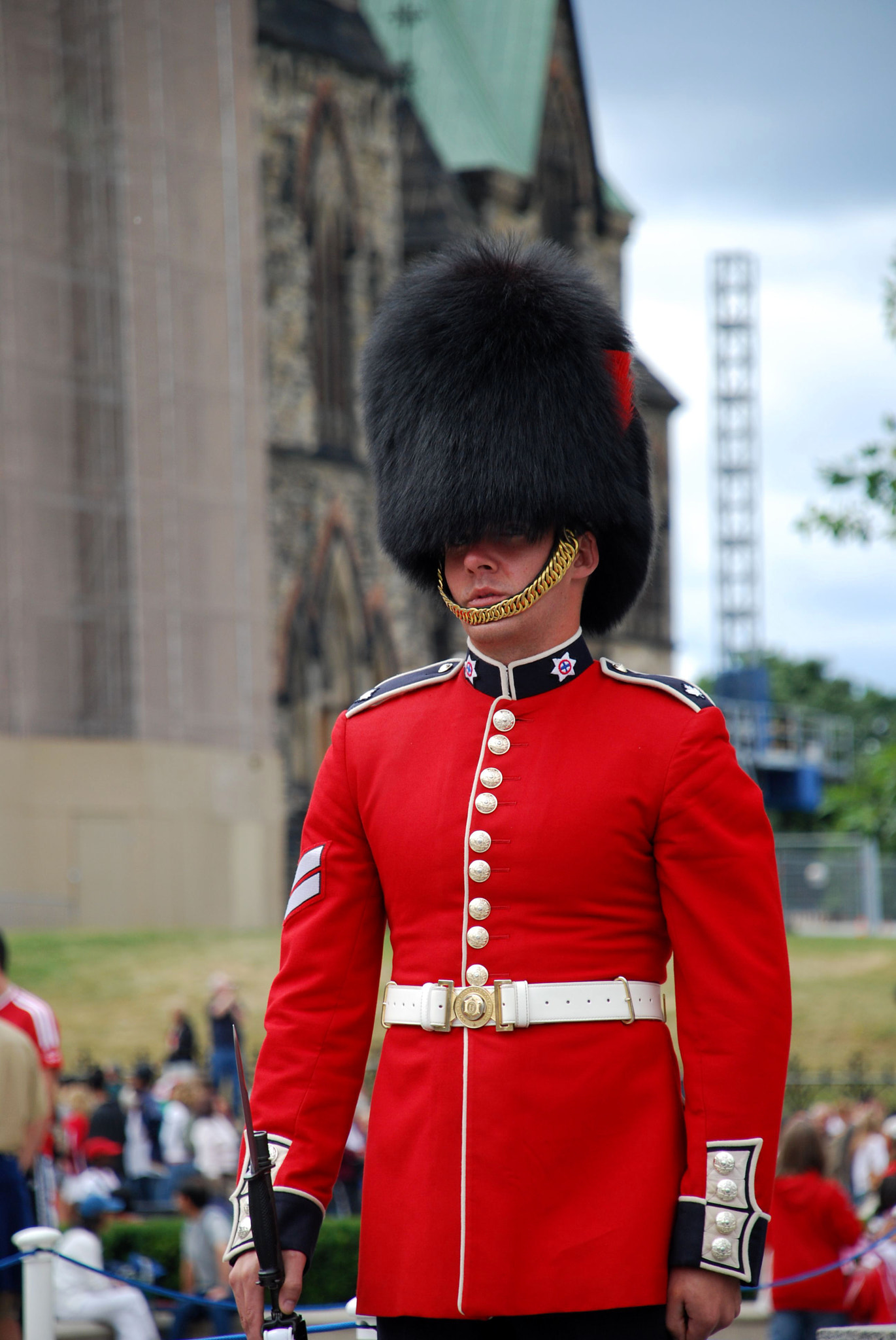 Nikon D40X sample photo. Guard photography