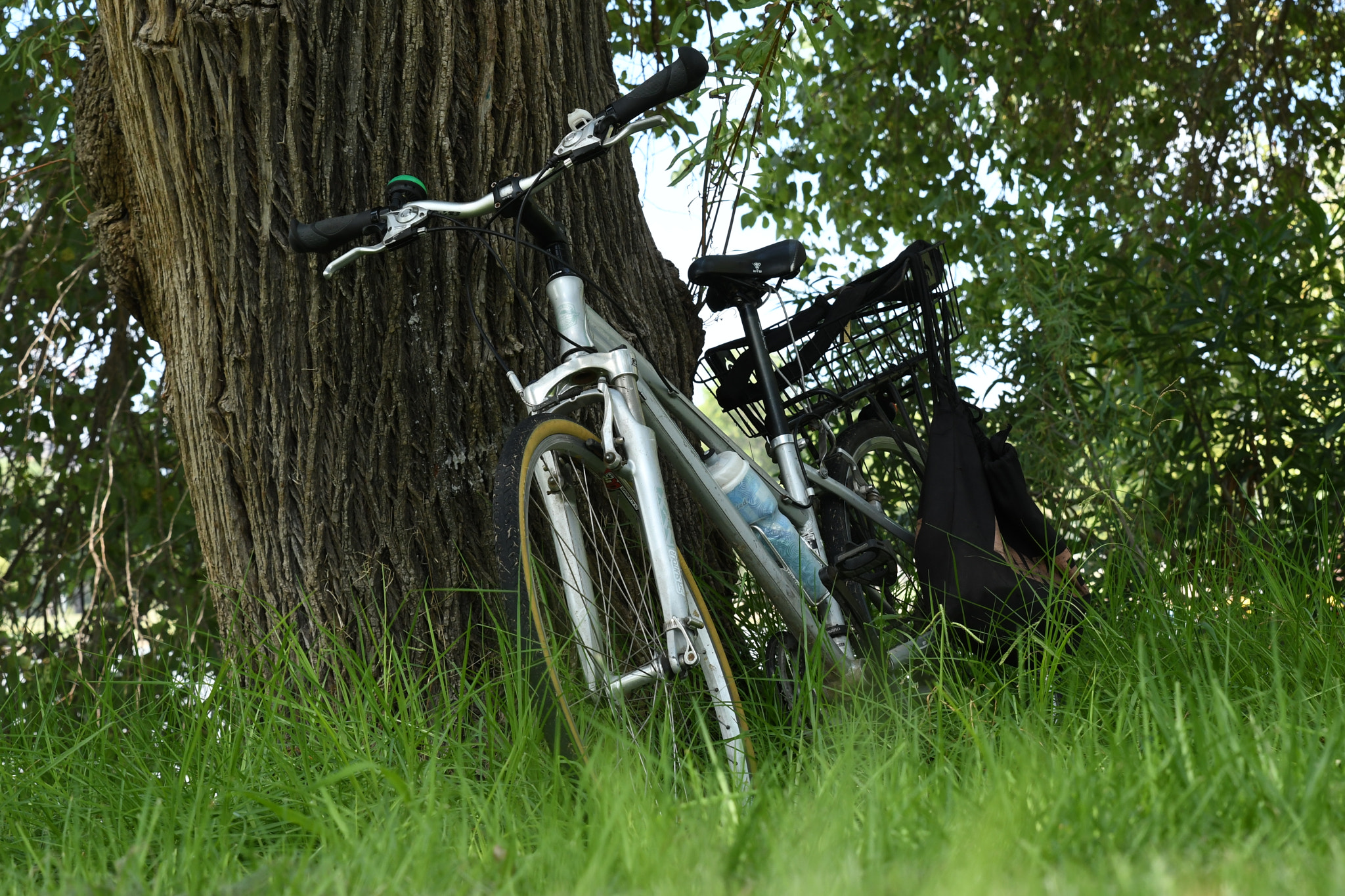 Tamron SP 24-70mm F2.8 Di VC USD sample photo. Bicycle photography