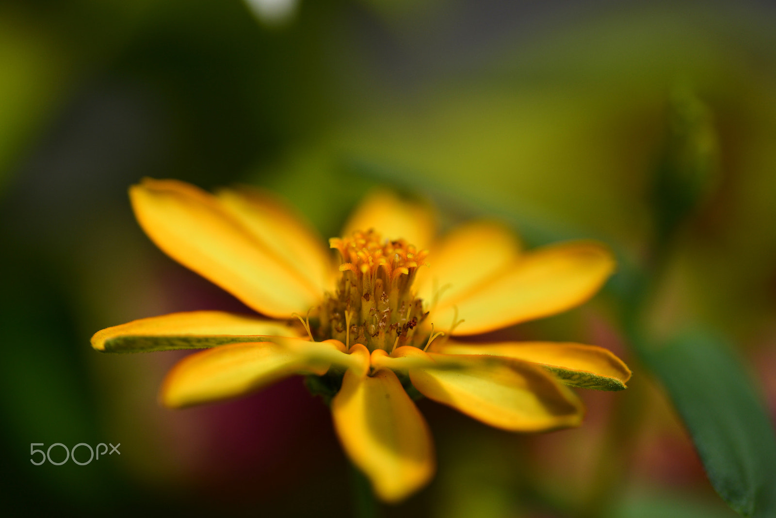 Nikon D600 sample photo. Hot summer photography