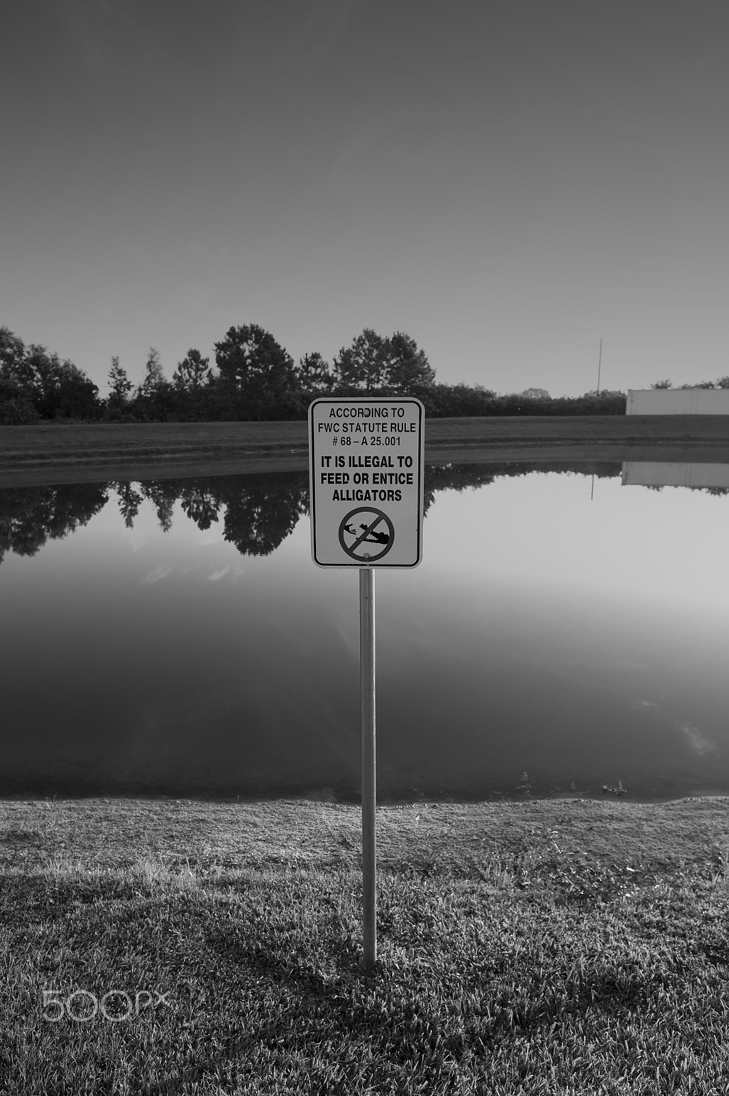 Nikon Df sample photo. Alligator sign, florida photography
