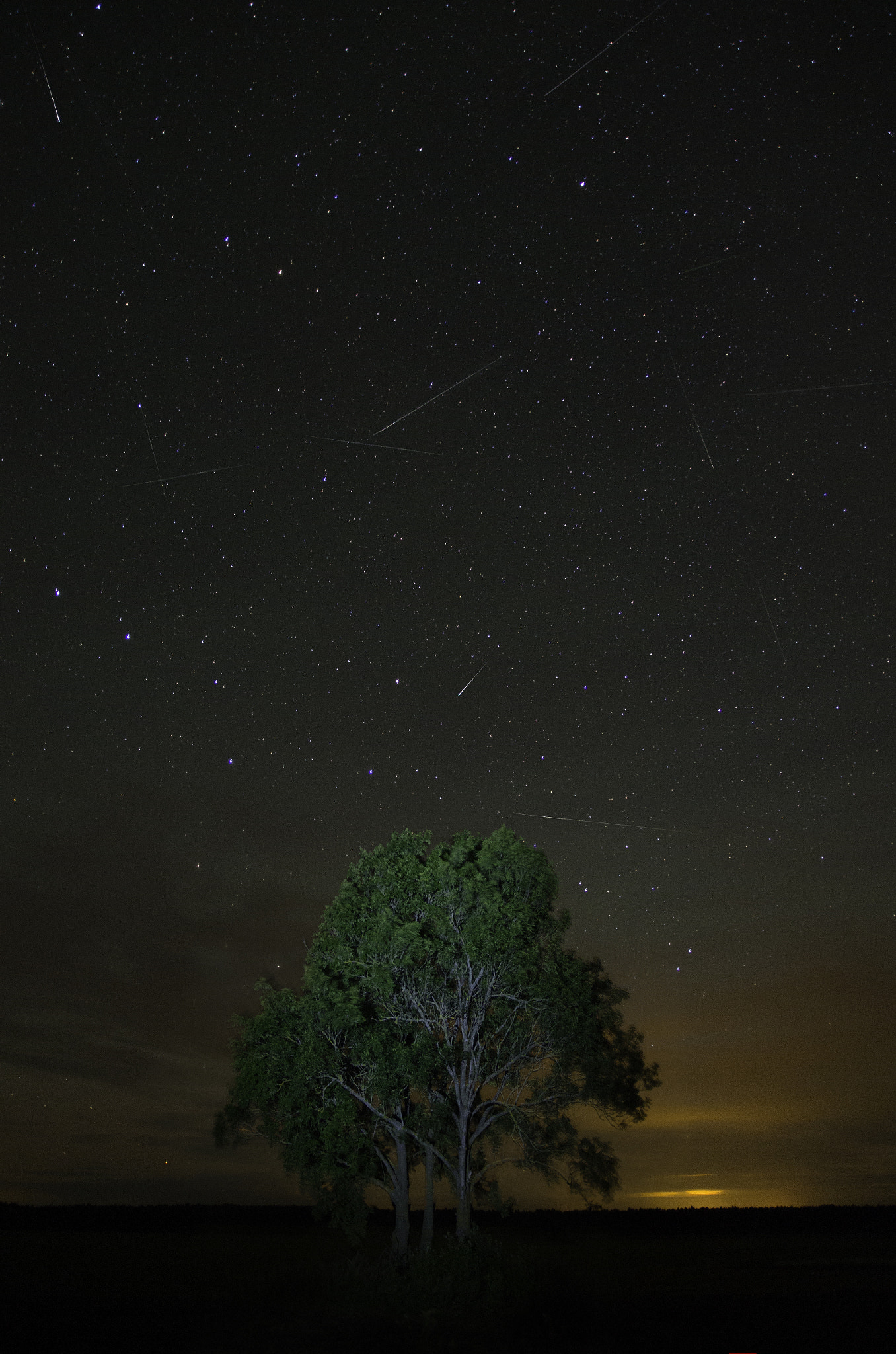 Sigma 17-70mm F2.8-4 DC Macro OS HSM sample photo. Perseid meteor shower 2016 photography