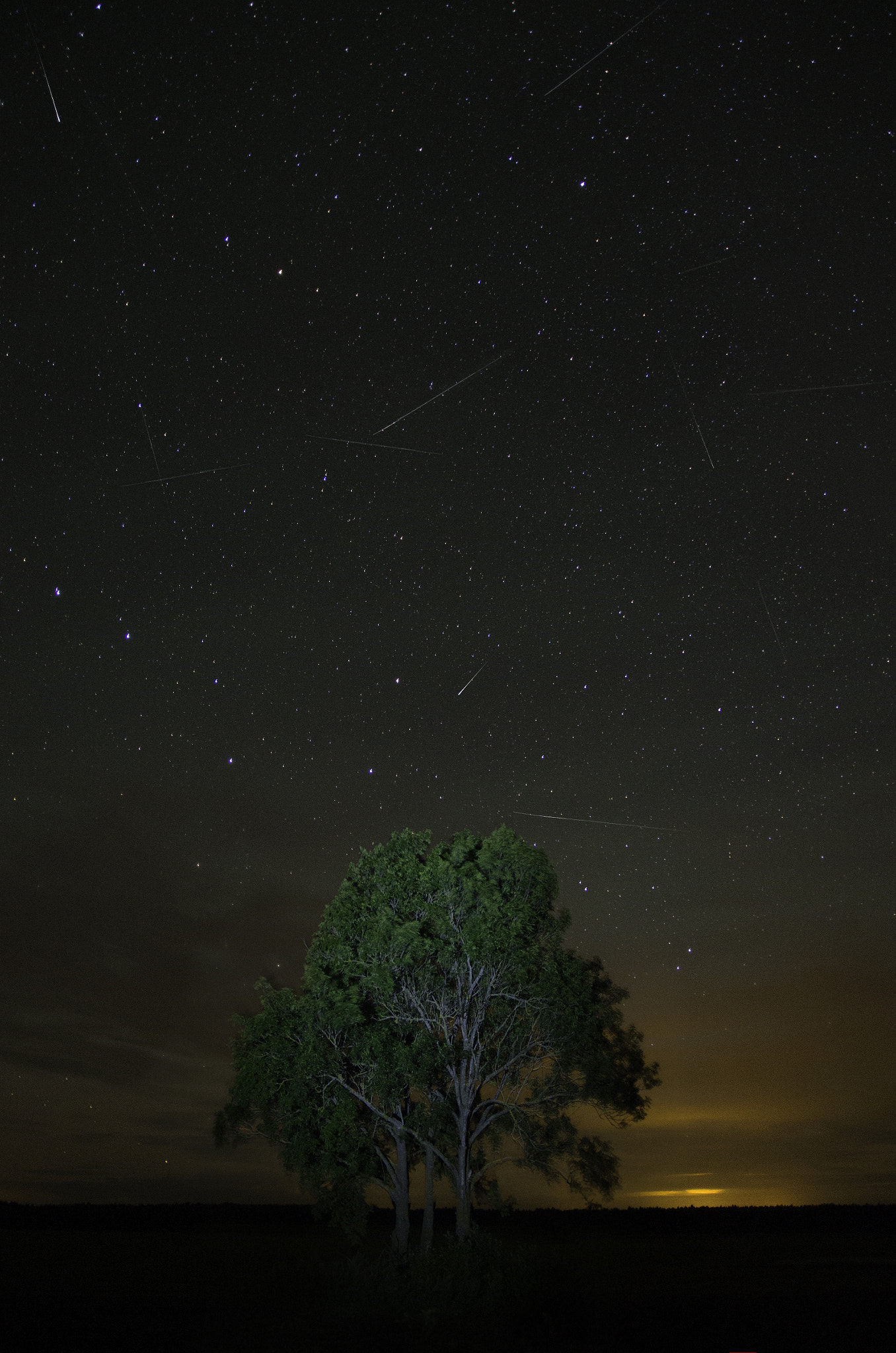 Pentax K-5 + Sigma 17-70mm F2.8-4 DC Macro OS HSM sample photo. Perseid meteor shower 2016 photography