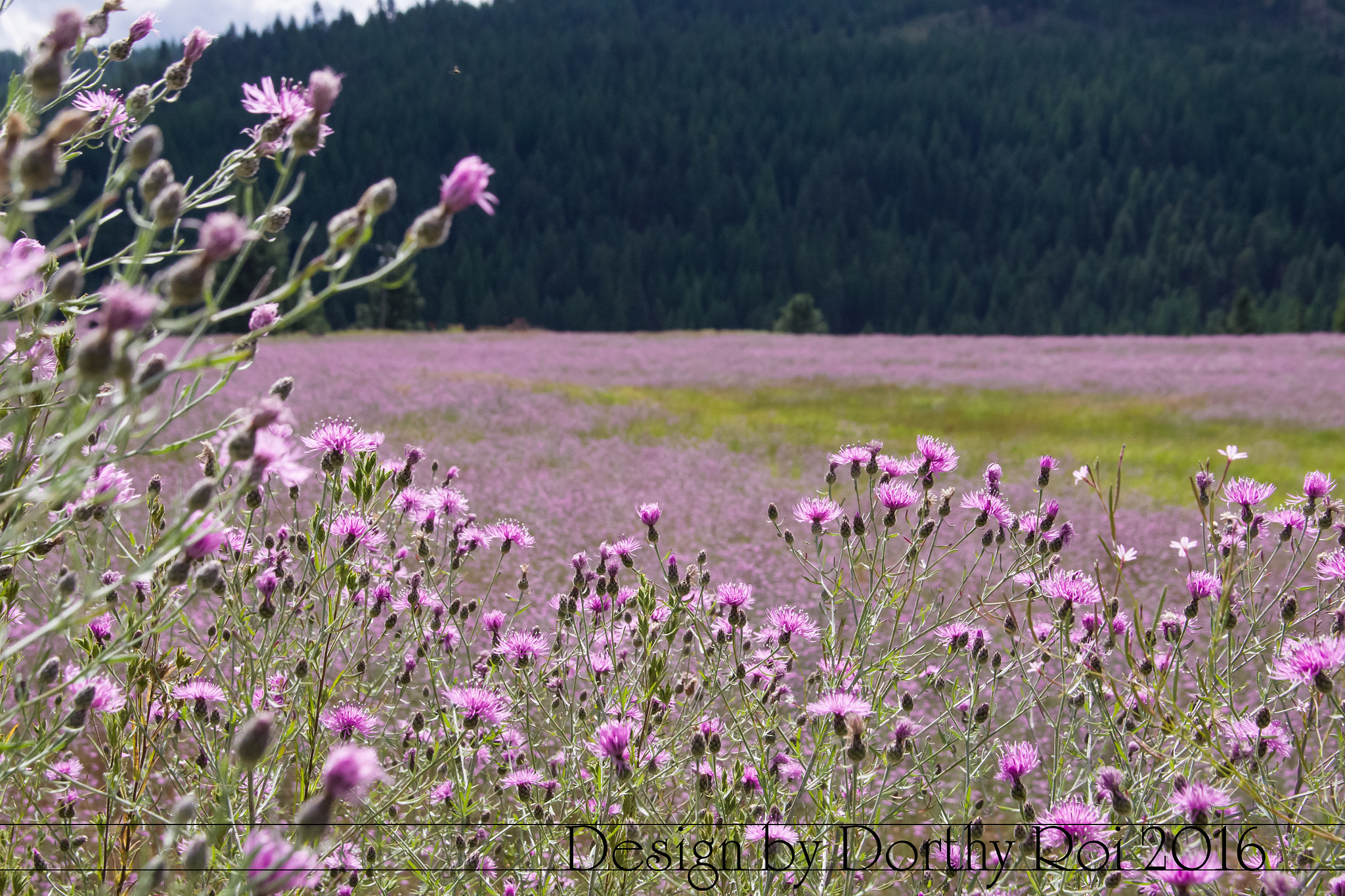 Pentax K-1 sample photo. Birthday road trip photography