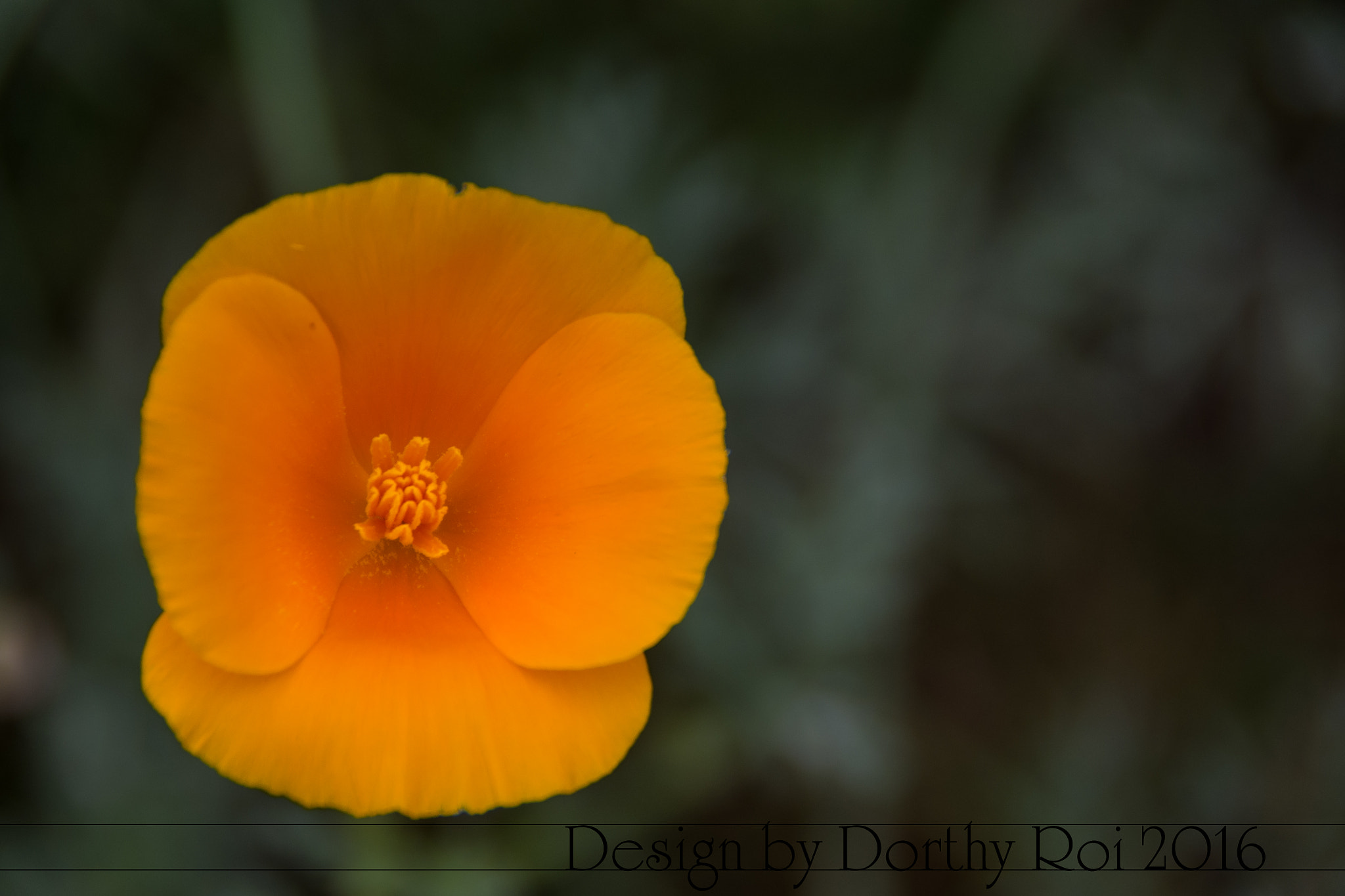 Pentax K-1 sample photo. Birthday road trip photography