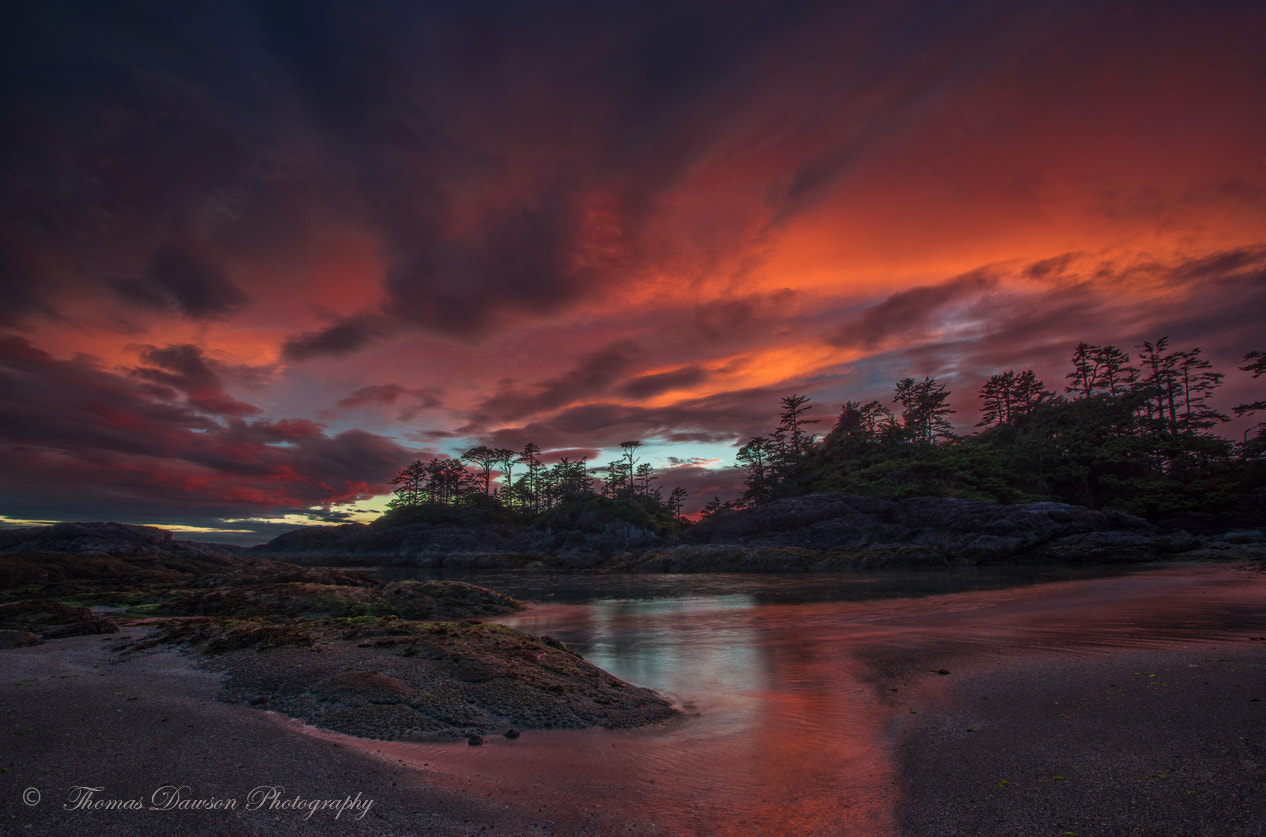 Sony a7R + Canon EF 17-40mm F4L USM sample photo. An isolaed show in the sky photography