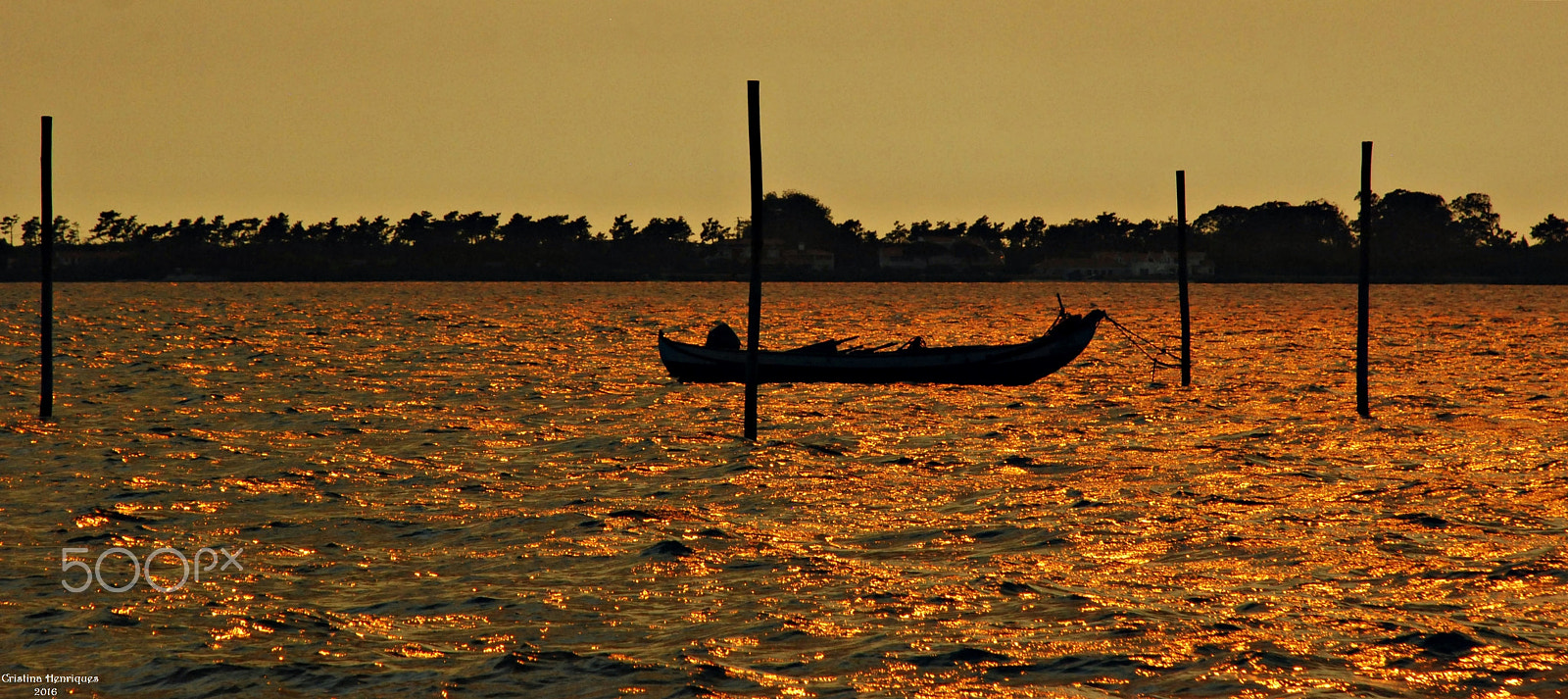 Nikon D40X sample photo. Fire sky .... photography