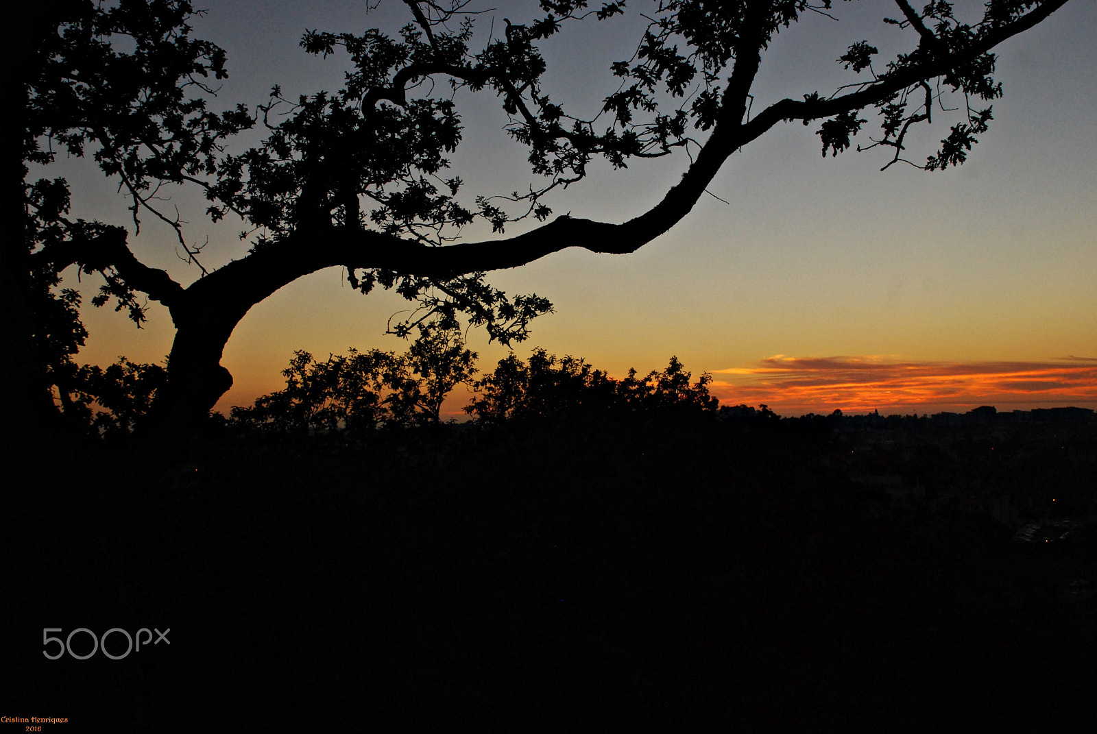Nikon D40X sample photo. Sunset at the castle... photography
