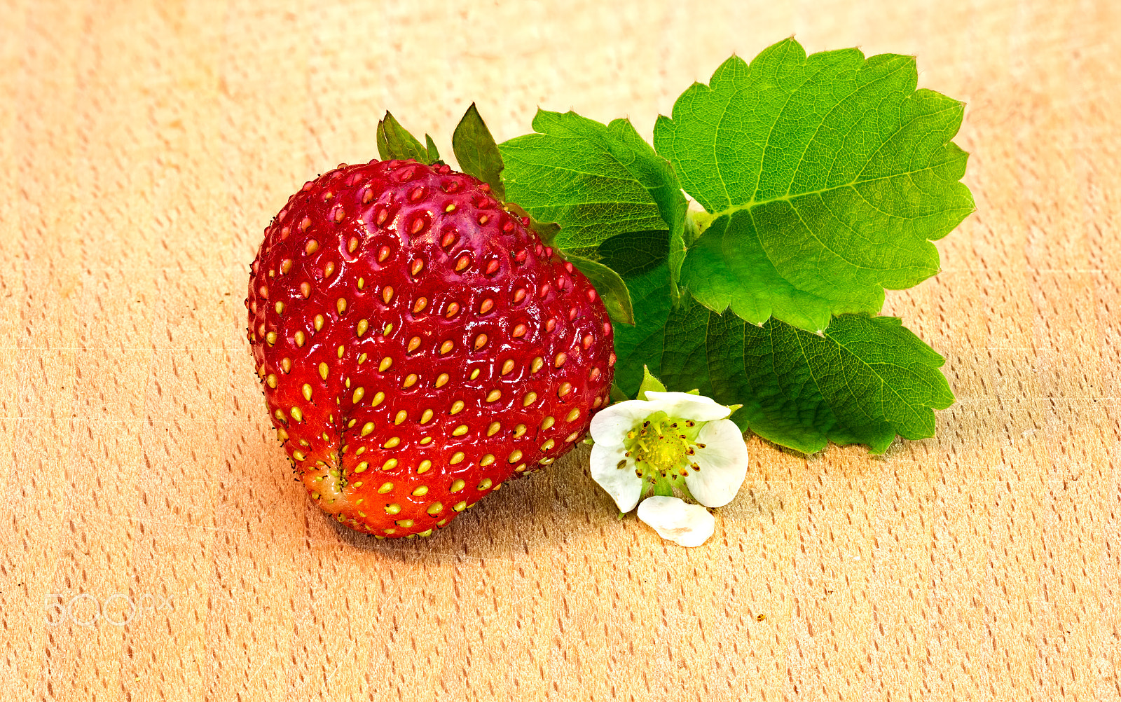Canon EF 100mm F2.8 Macro USM sample photo. Ripe red strawberry with leaves photography