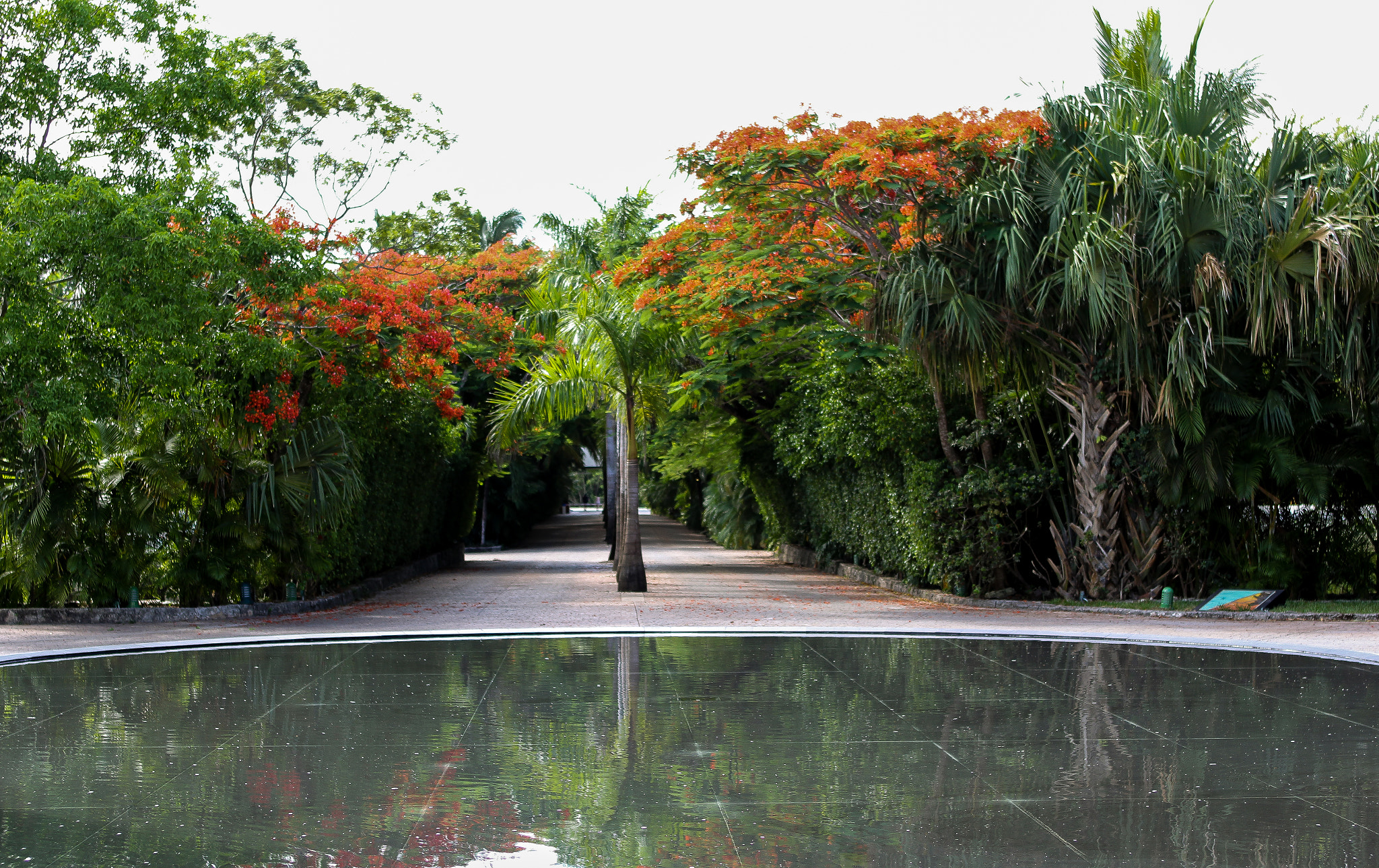 Canon EOS 60D + EF28-70mm f/2.8L USM sample photo. Cozumel driveway photography