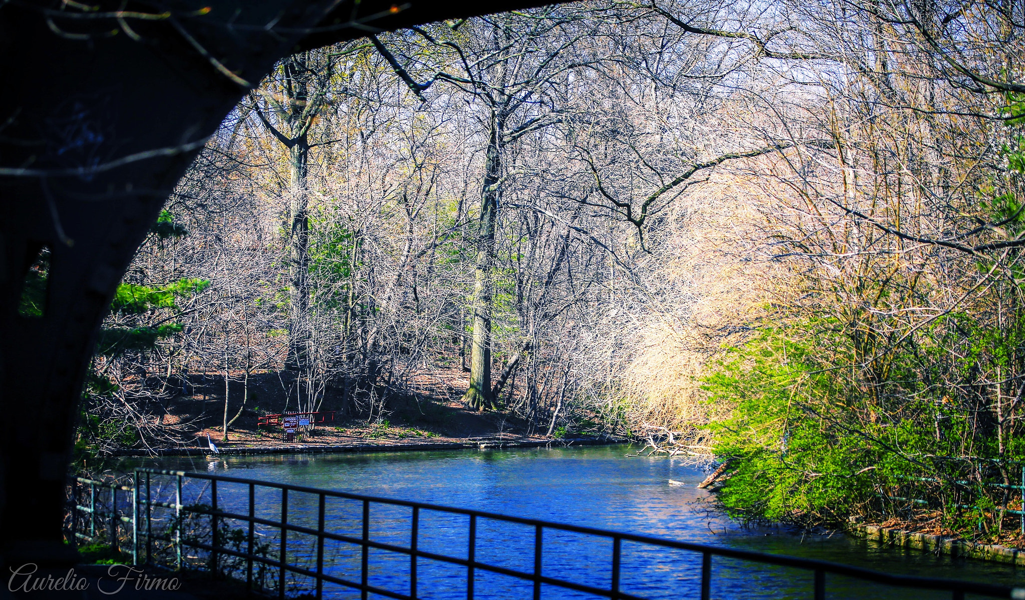 Canon EF 100-400mm F4.5-5.6L IS USM sample photo. Prospect park brooklyn newyork photography