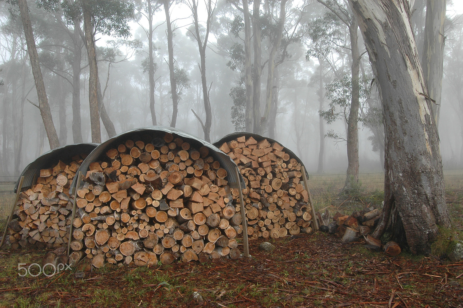 Nikon D70s sample photo. Wood pile photography