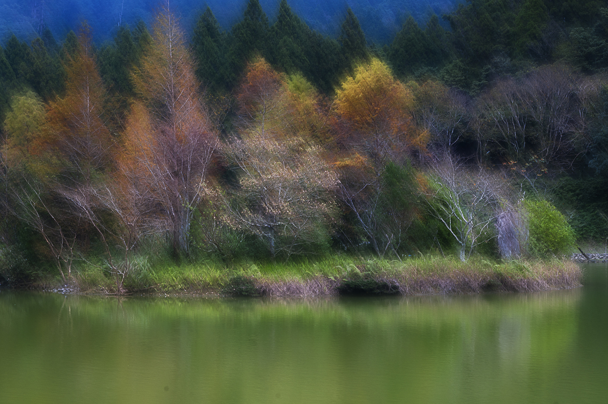 Sigma 17-70mm F2.8-4.5 DC Macro Asp. IF sample photo. 明池之秋 photography