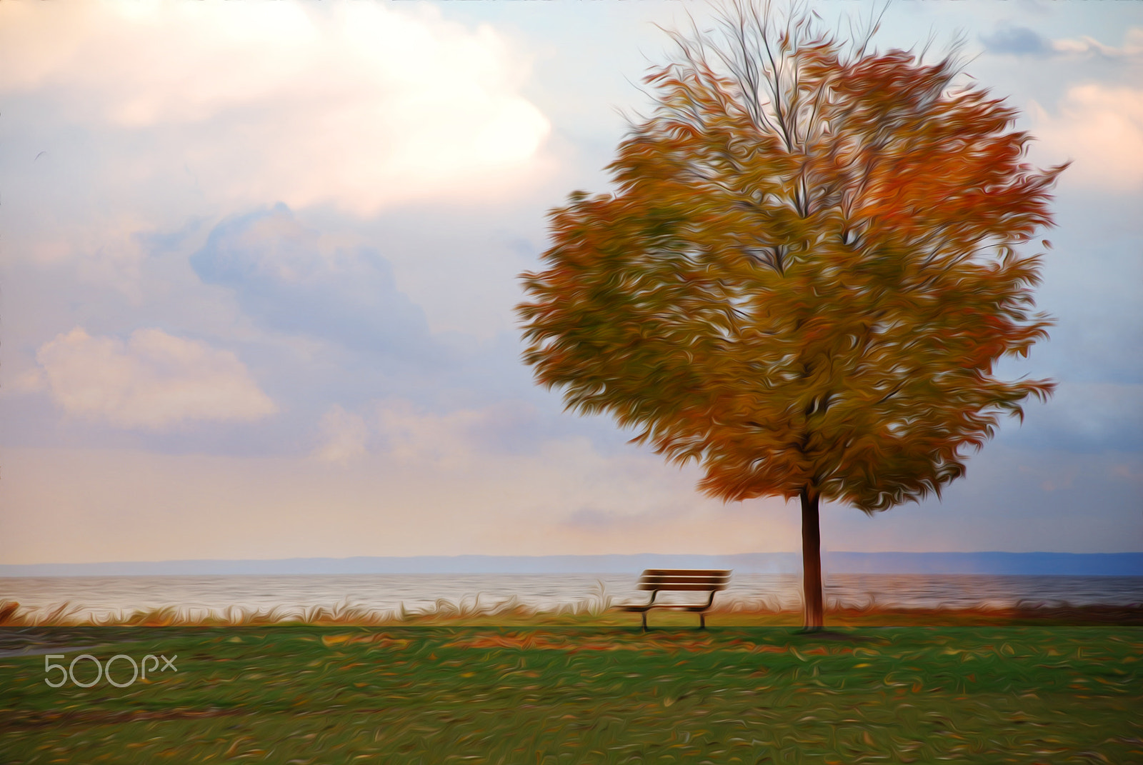 Nikon D60 sample photo. In memory of you, never to be forgotten photography