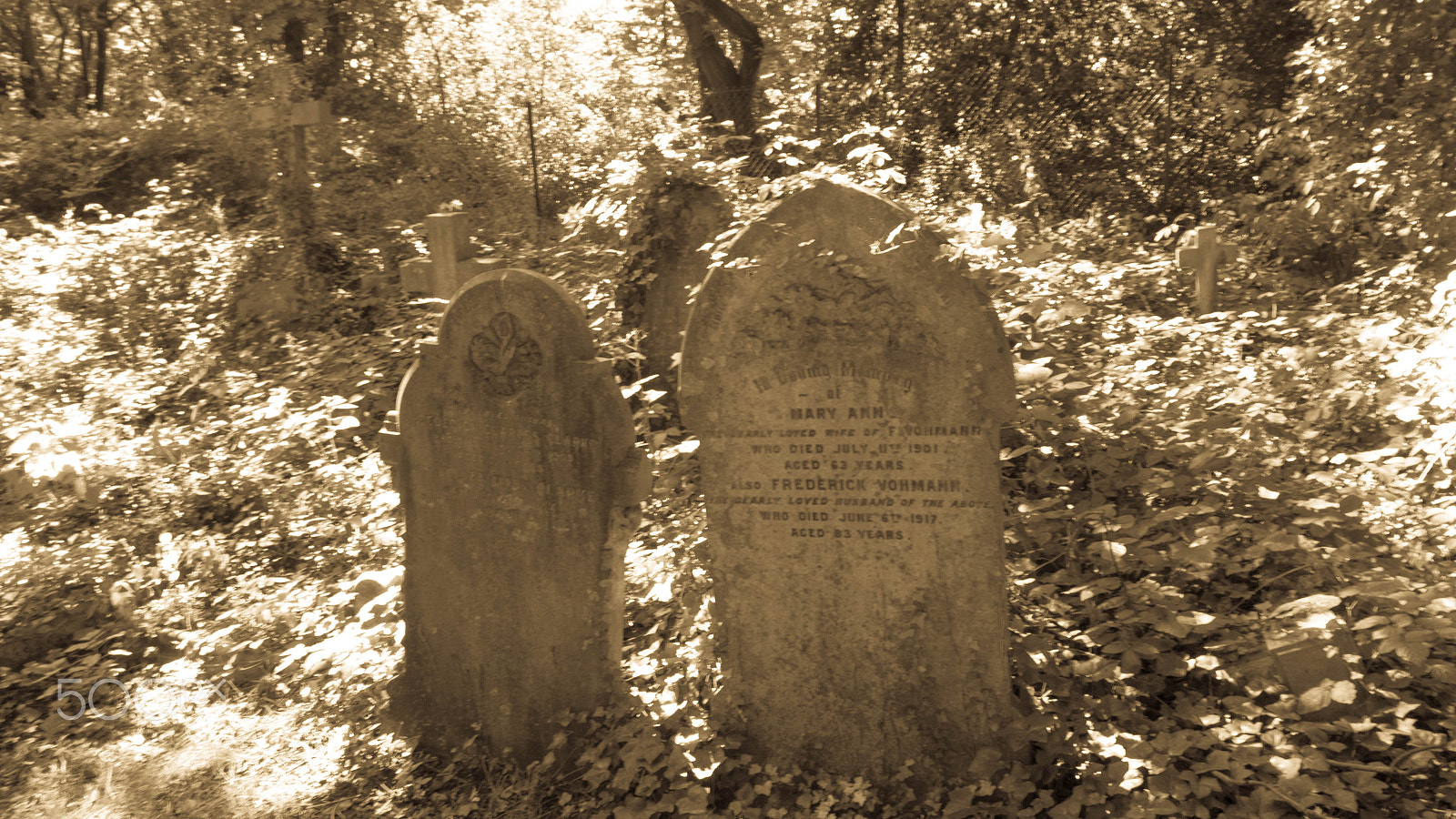 Sigma 17-35mm f/2.8-4 EX DG Aspherical HSM sample photo. Headstones photography