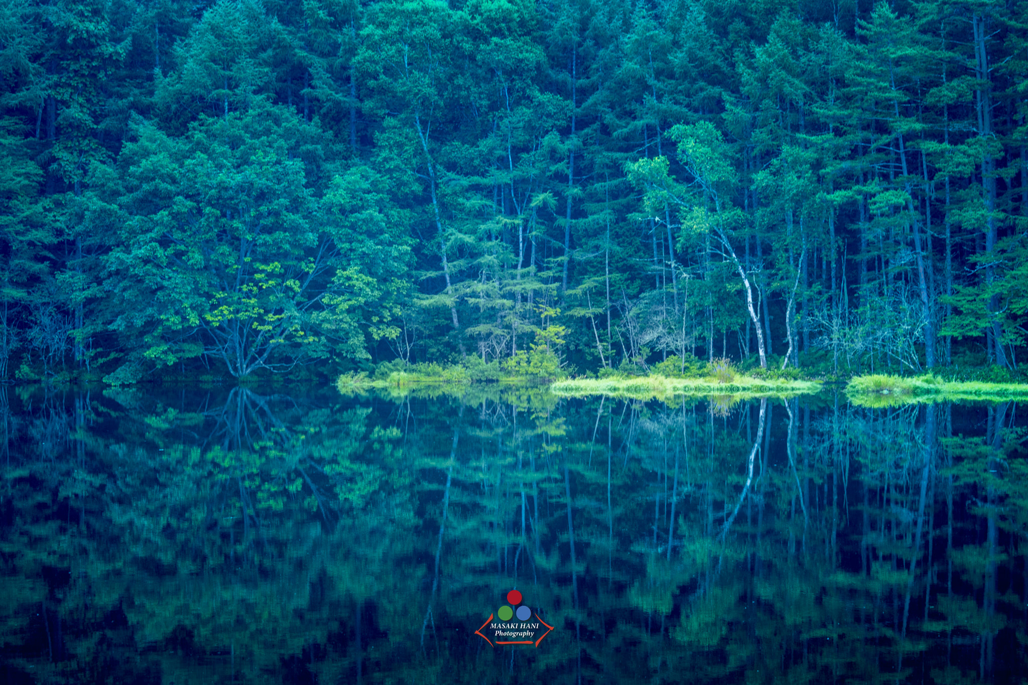 Nikon D500 sample photo. Green forrest reflect pond photography