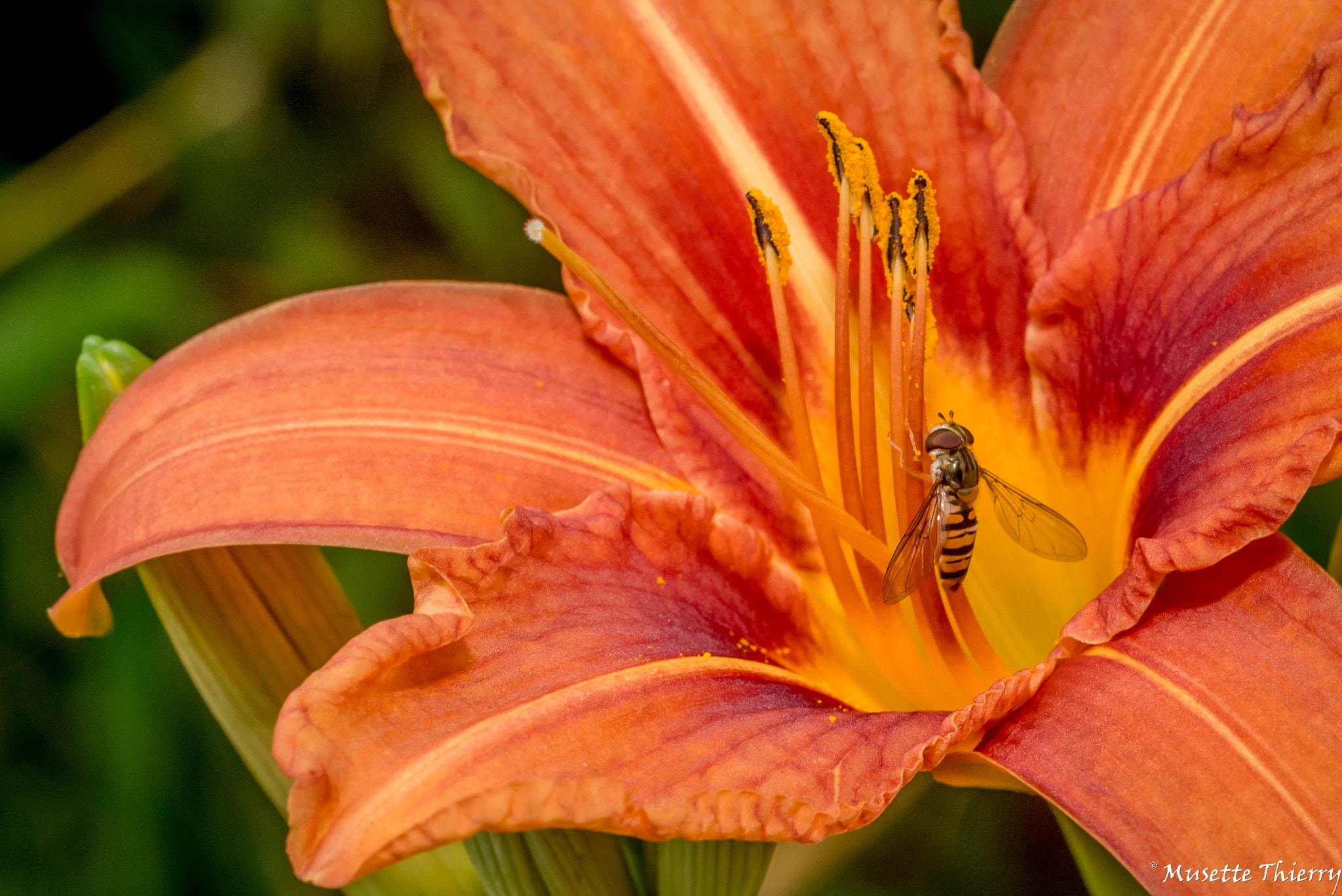 Nikon D600 sample photo. Elle s'accroche !!! photography
