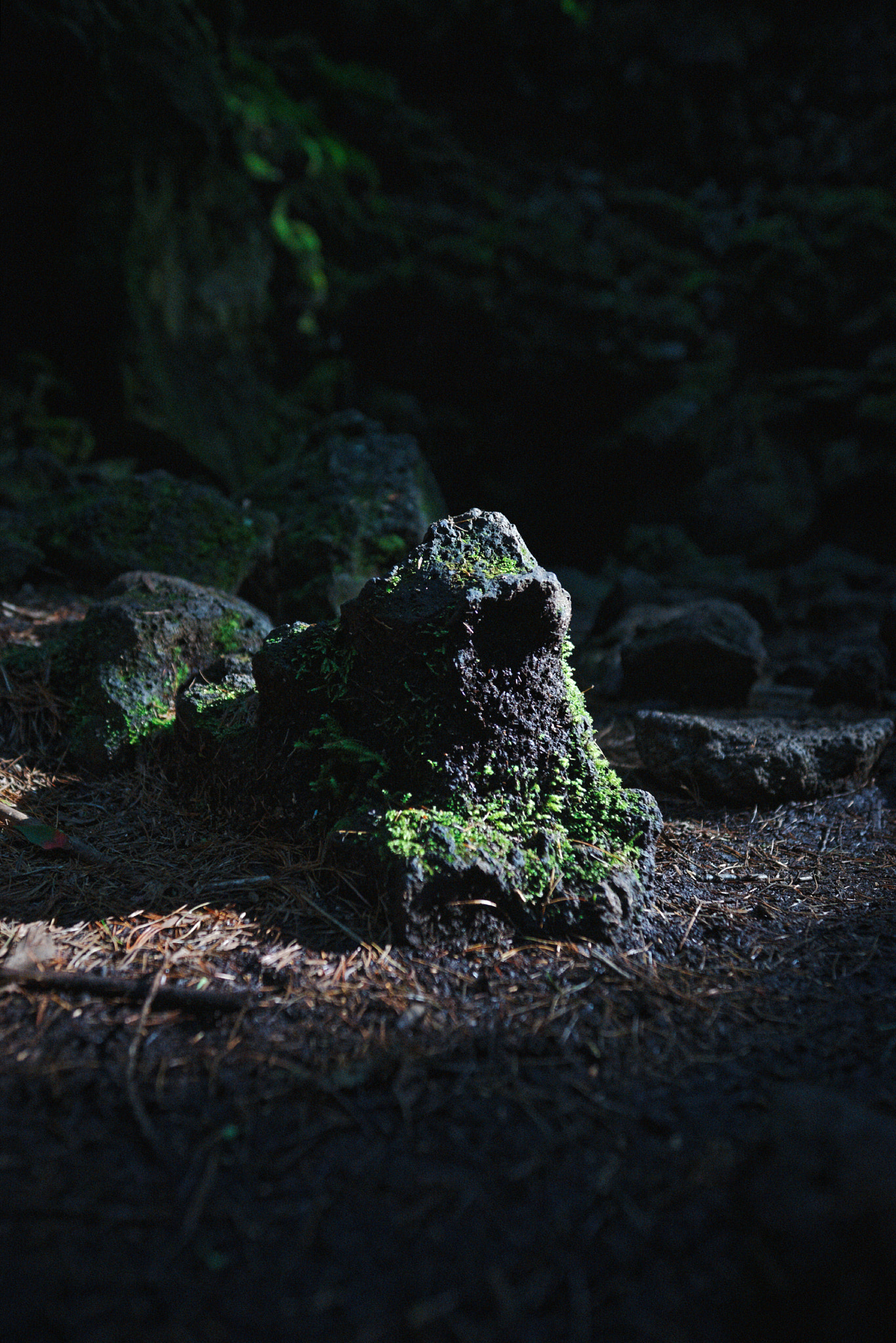 Sony SLT-A99V sample photo. Presence photography