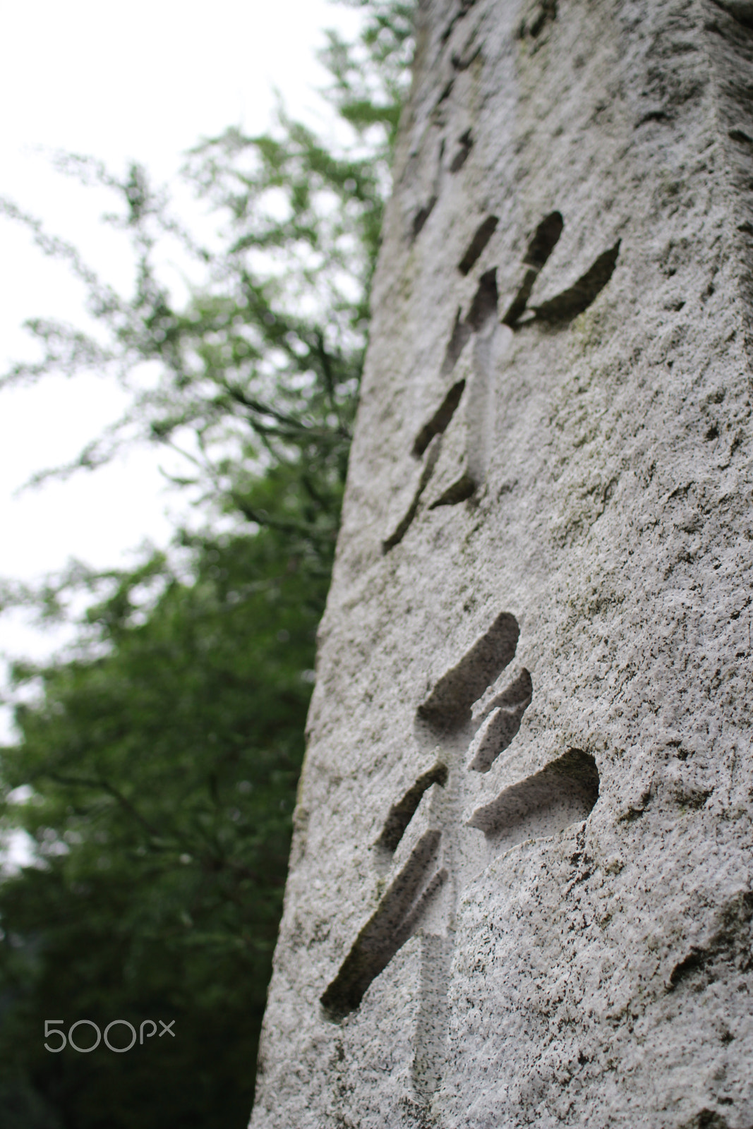Sigma 30mm f/1.4 DC HSM sample photo. Eiheiji temple photography