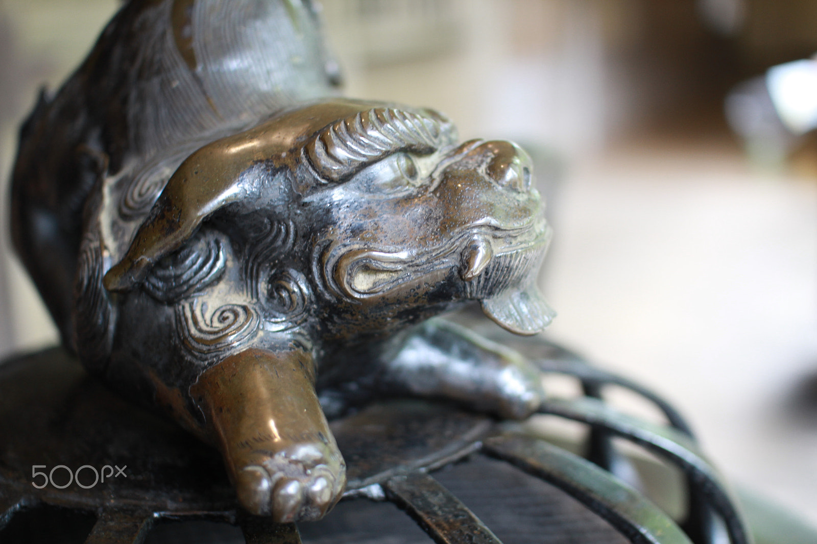 Sigma 30mm f/1.4 DC HSM sample photo. Komainu photography