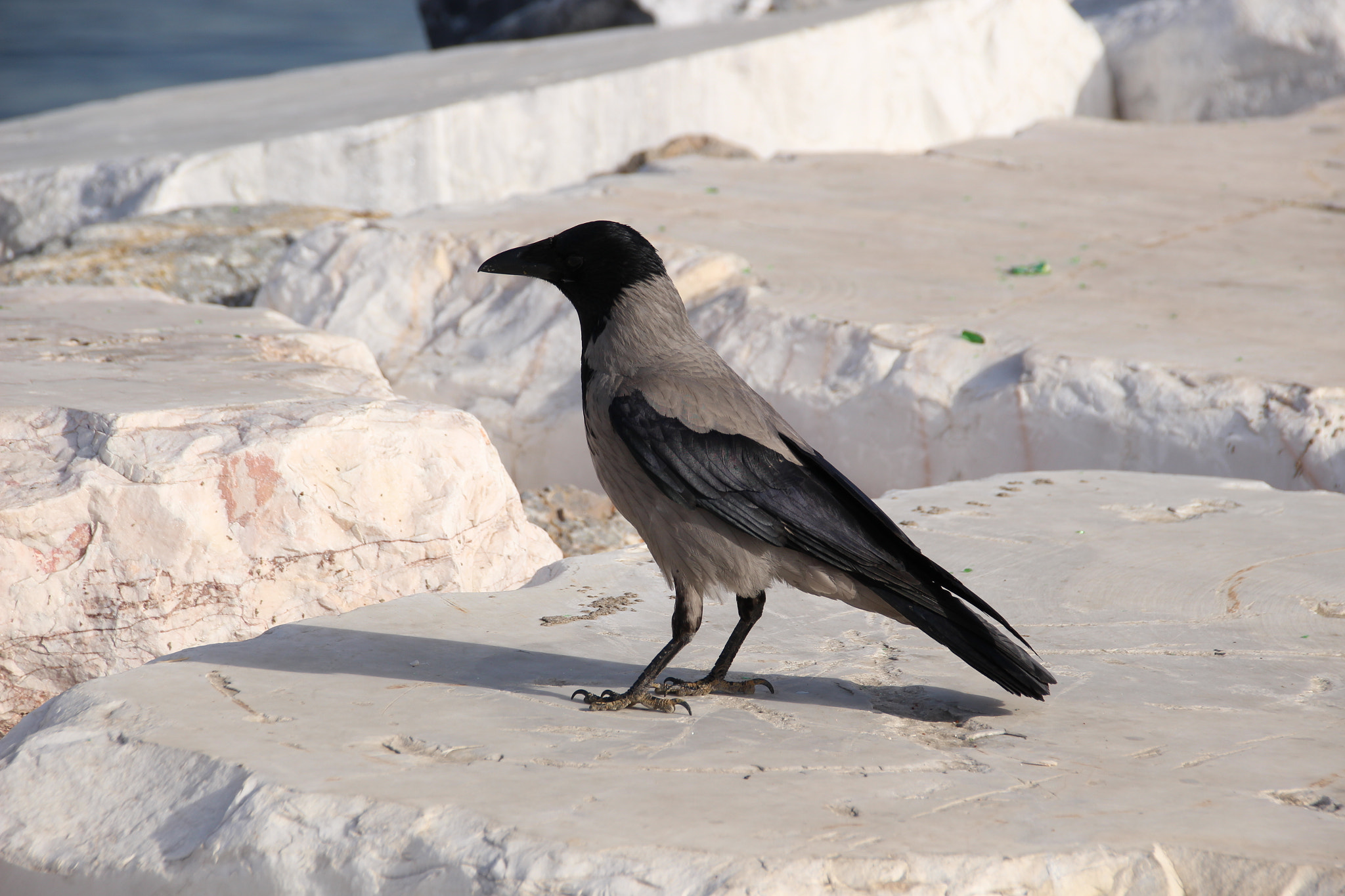 Sigma 18-250mm F3.5-6.3 DC OS HSM sample photo. Istanbul photography