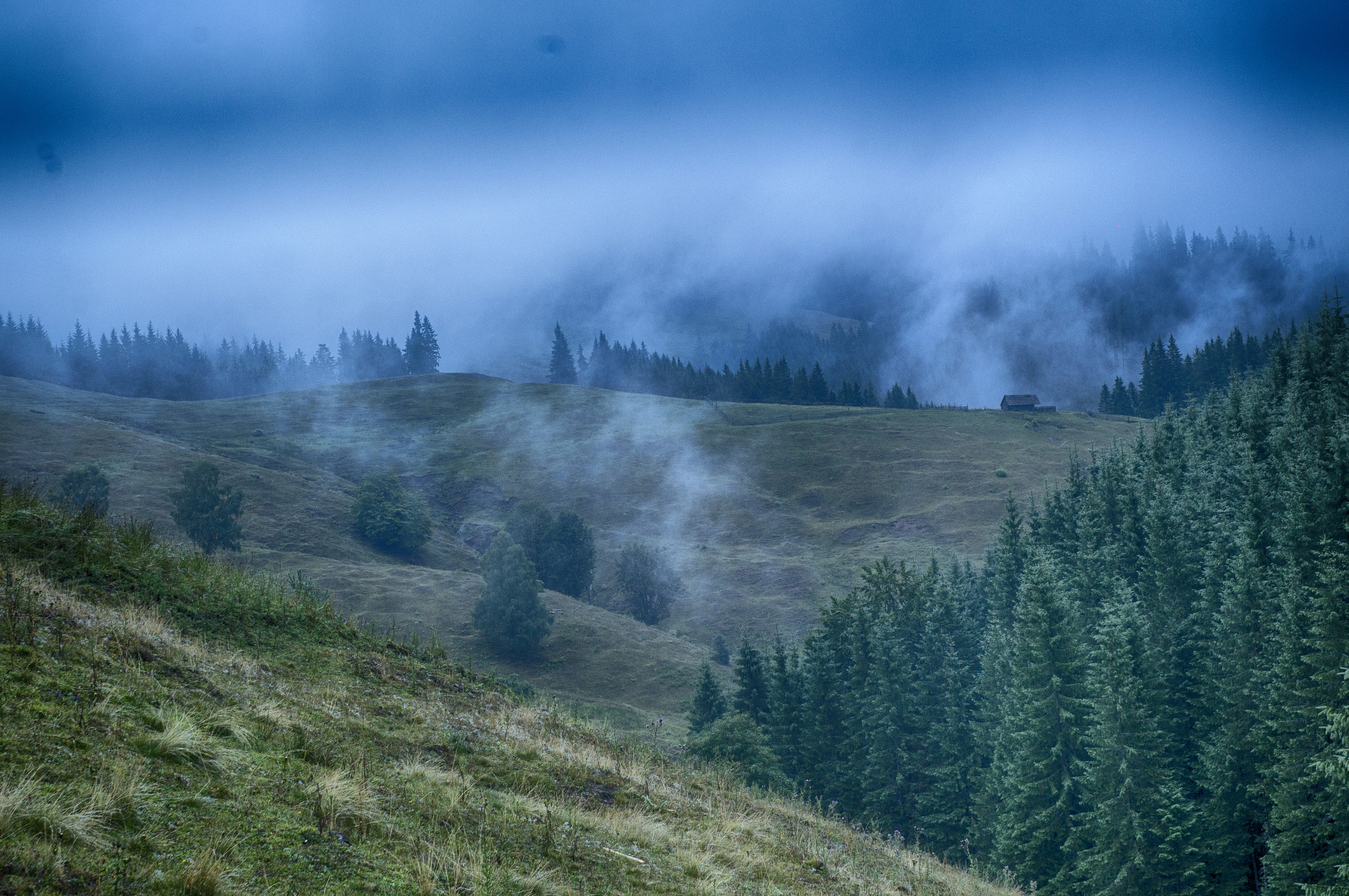 Sony SLT-A57 + Tamron SP 24-70mm F2.8 Di VC USD sample photo. My misty mornings on the mountains part 2 photography