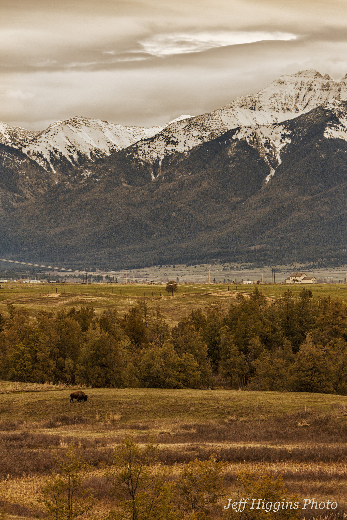Canon EF 70-200mm F2.8L IS USM sample photo. Lone bison on the prarie. photography