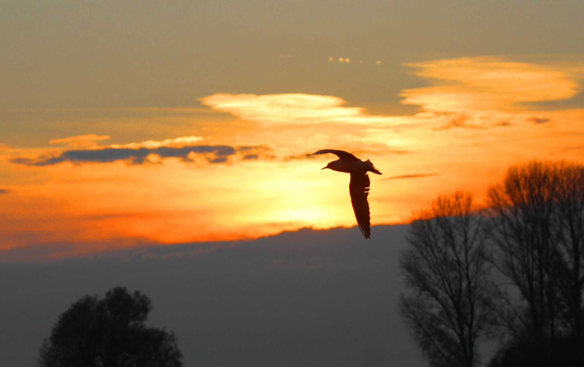 Canon EF 35-350mm F3.5-5.6L USM sample photo. Abendrot photography