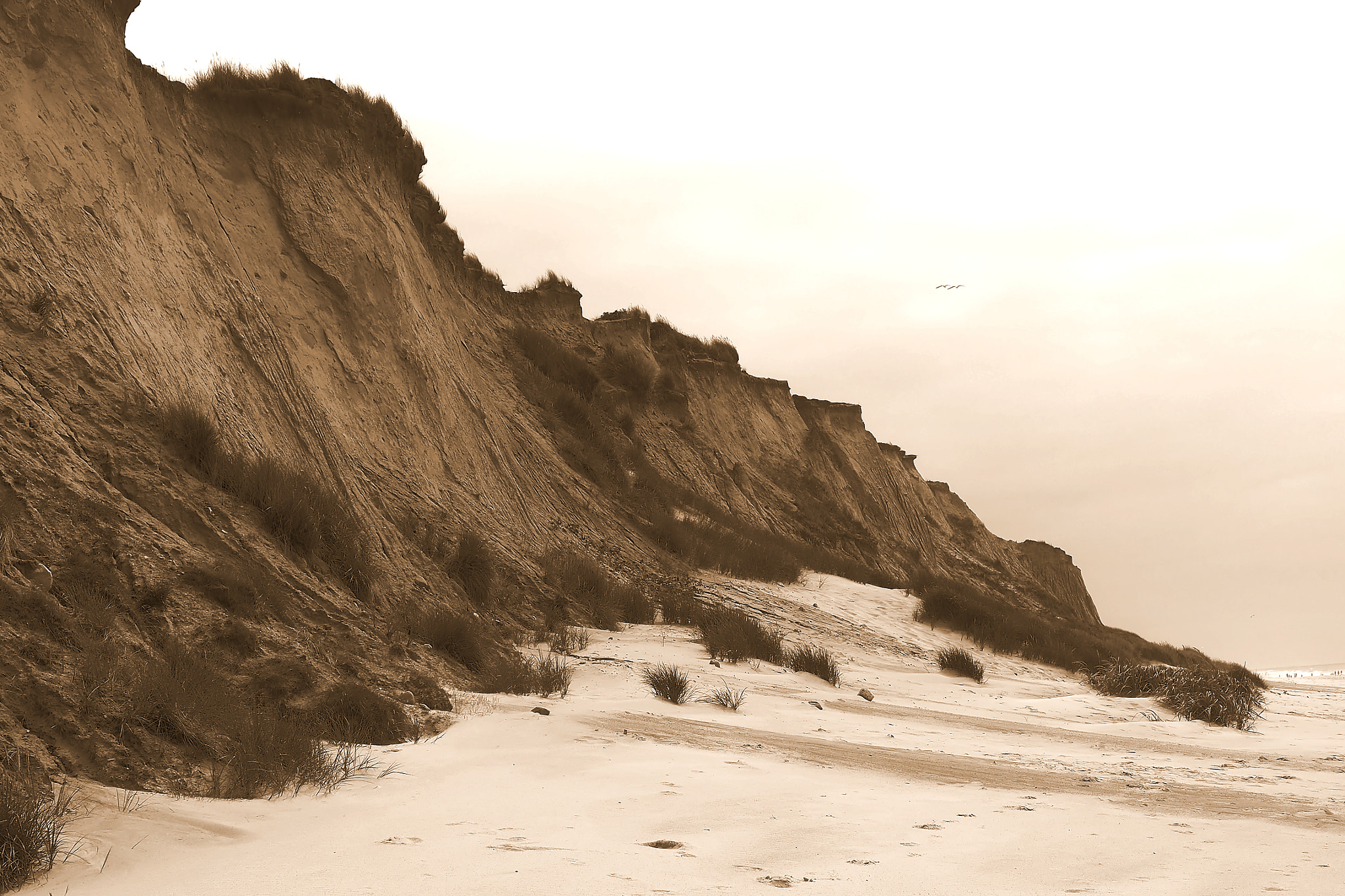 OLYMPUS M.12-50mm F3.5-6.3 sample photo. Steep coast photography